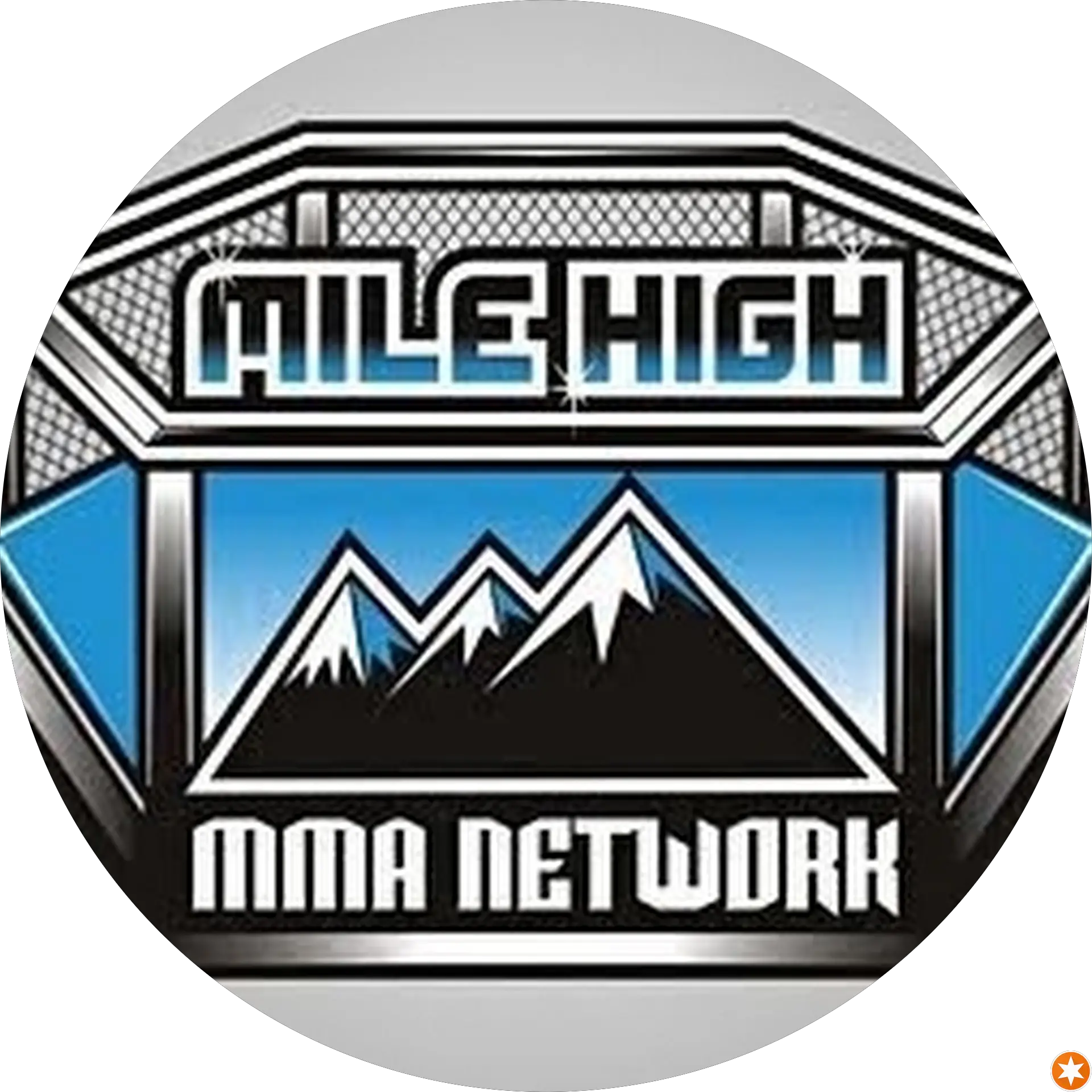 MMA Technique Of The Week