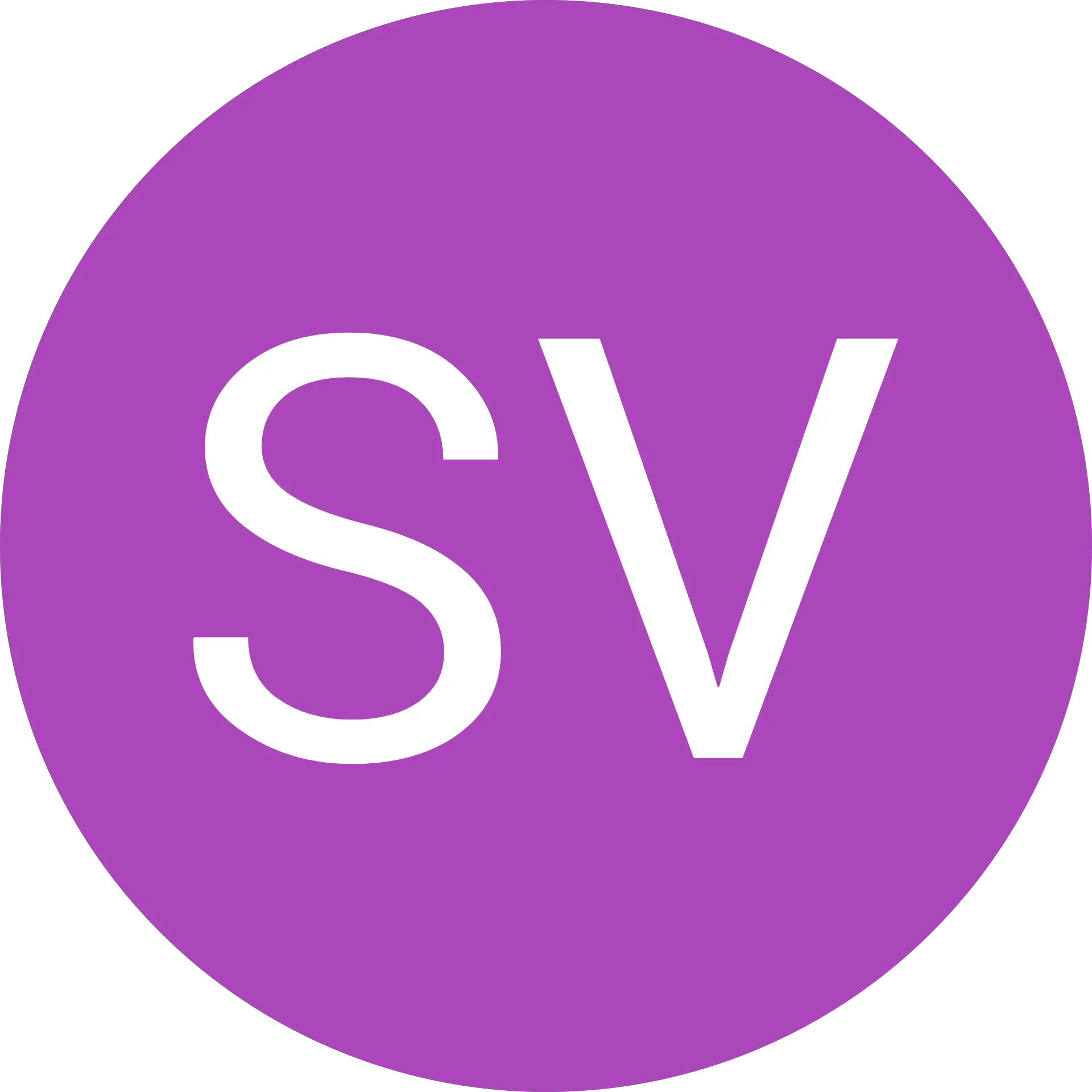 SV Bricks