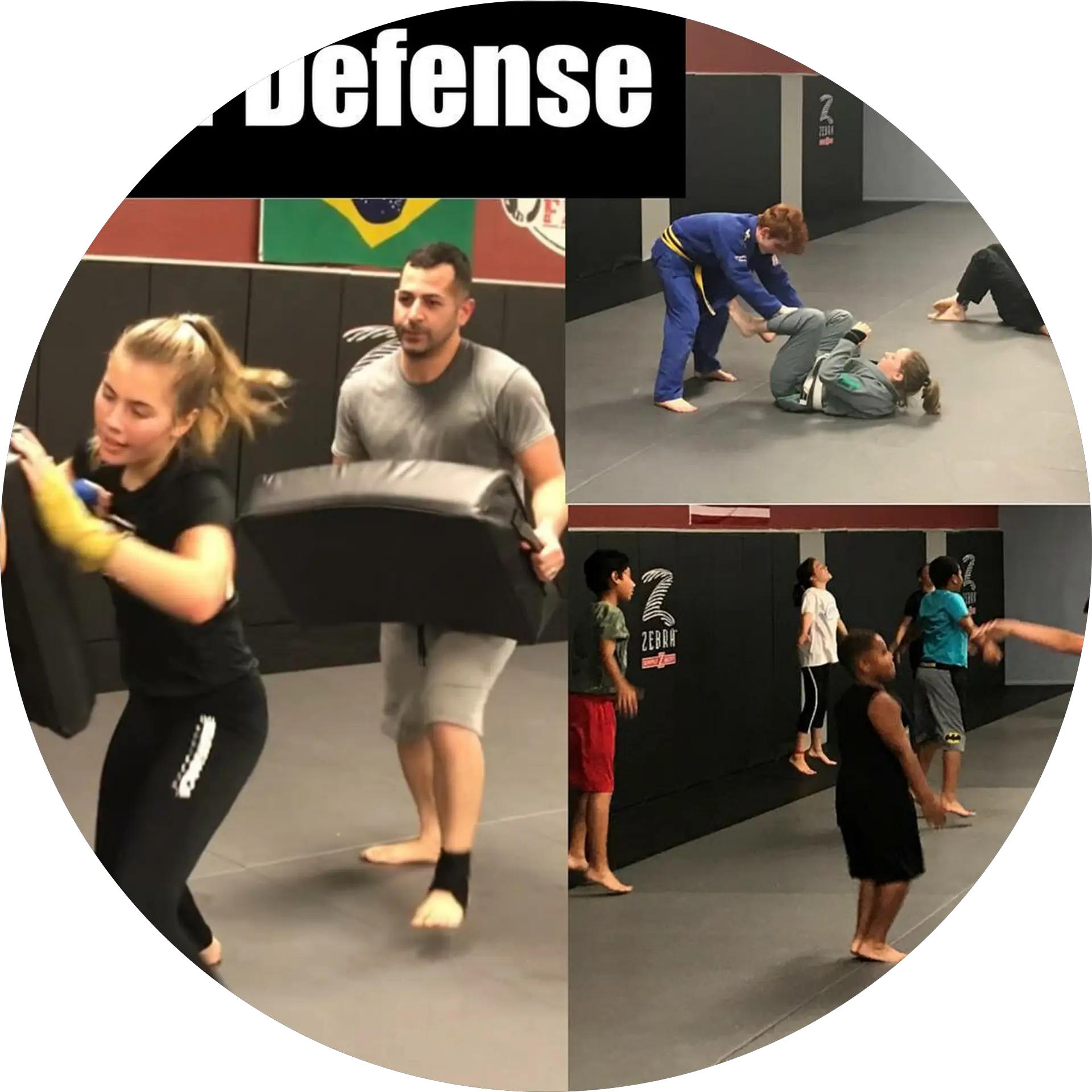 Charleston Self-Defense Academy & Martial Arts