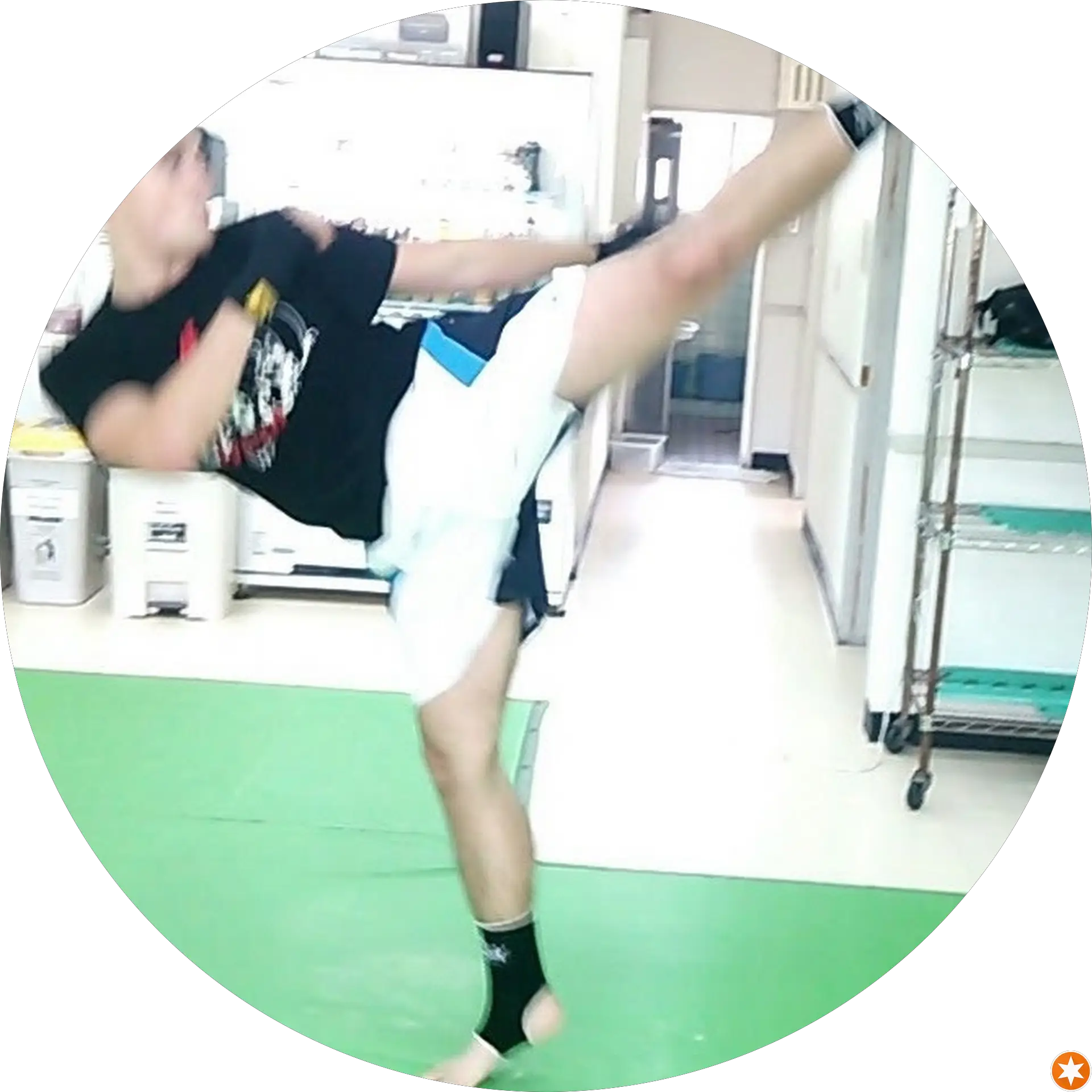 FracturedFox