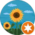 Sioneide Ribeiro Alves
