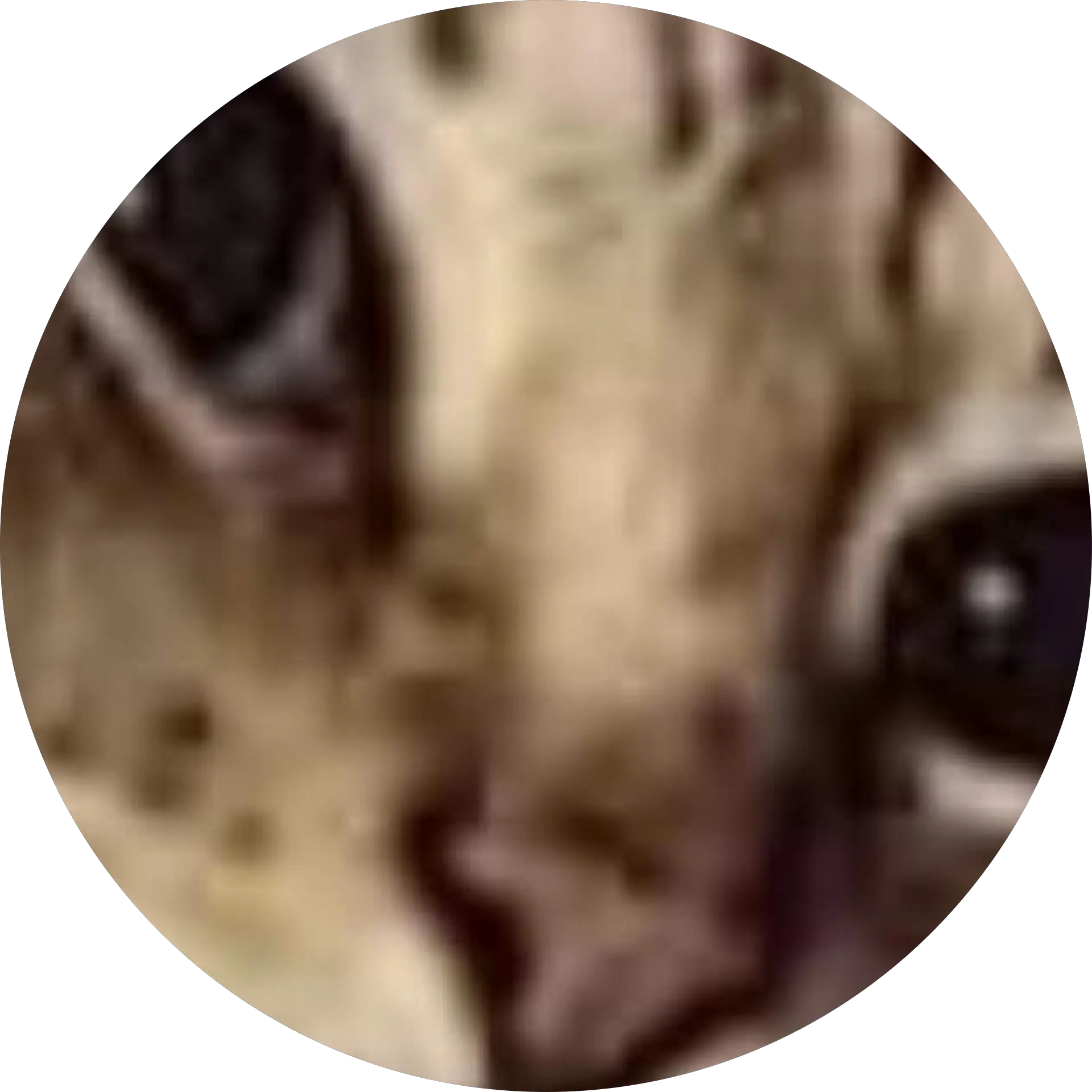 J H