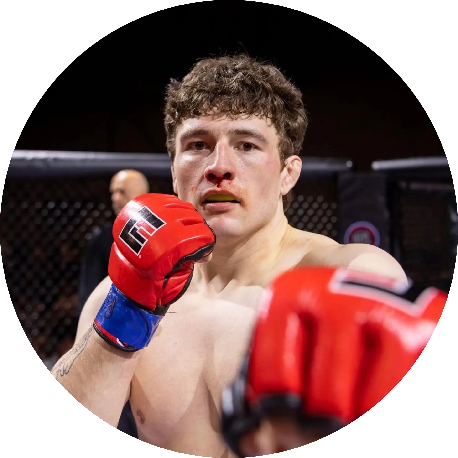 Mitch Donahue