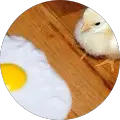 El Benny