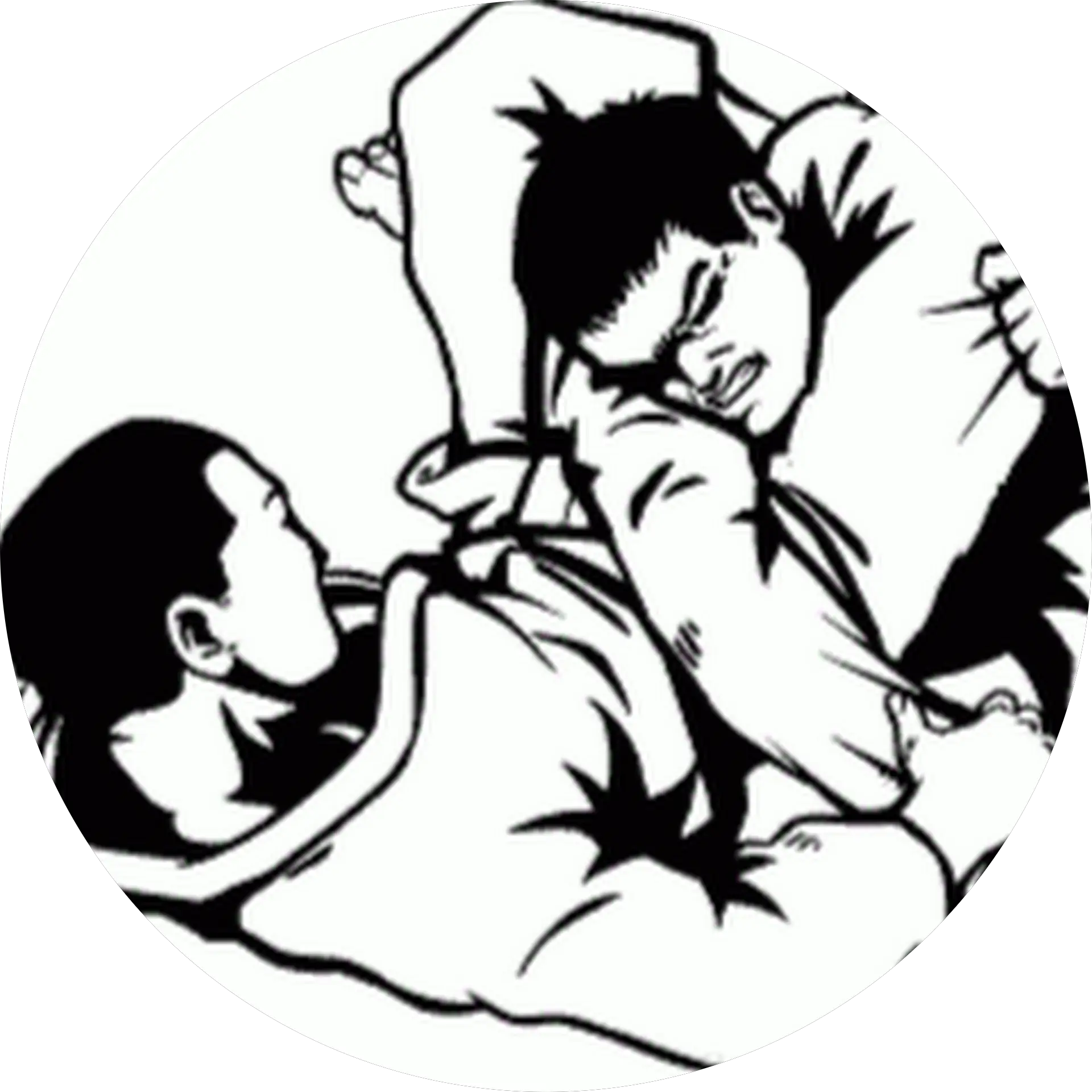 gracie jiu jitsu