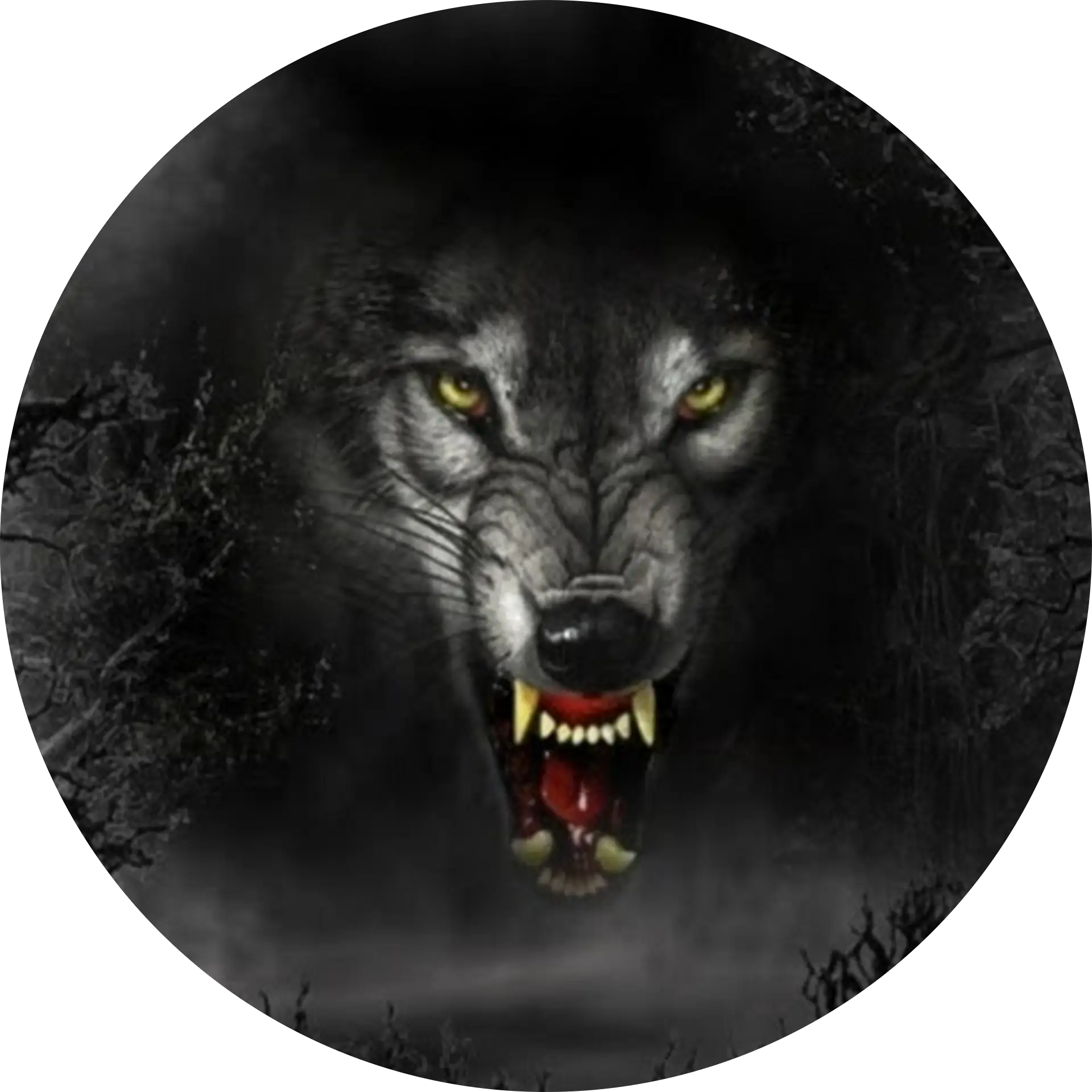 ShadowRunner73