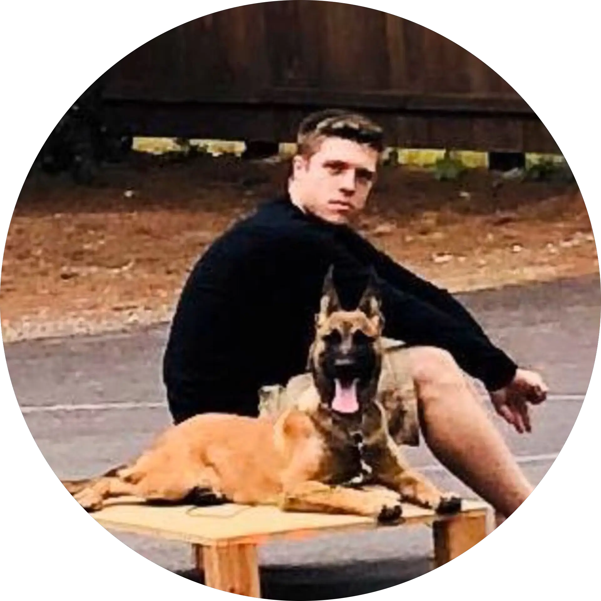 Protection Dogs