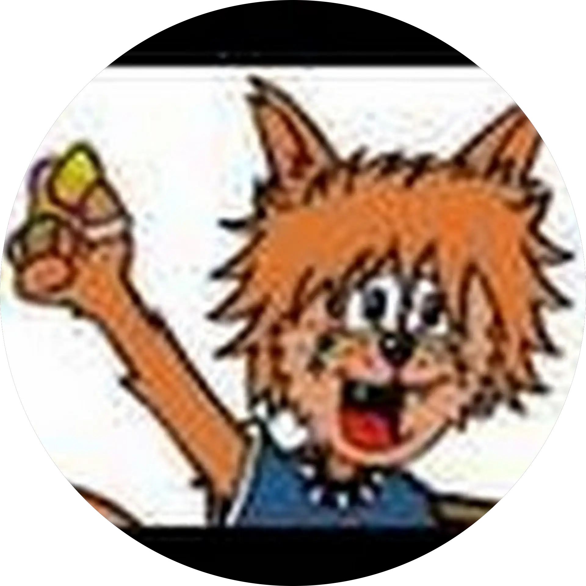 TheJamCatsMusic