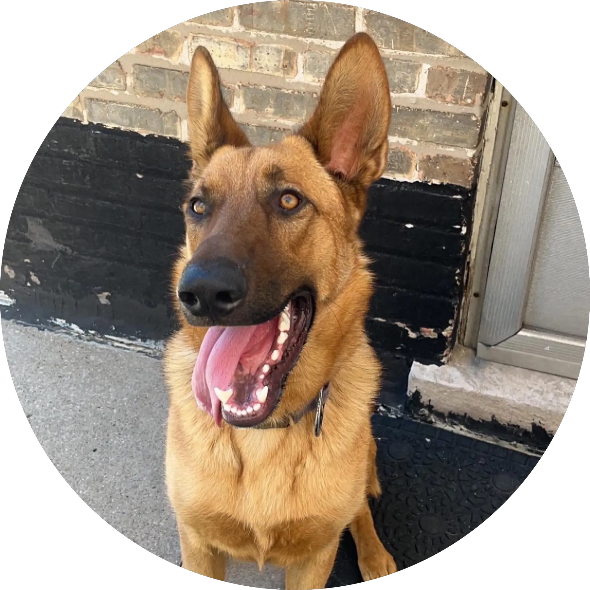 Avy Gaytan Aranda