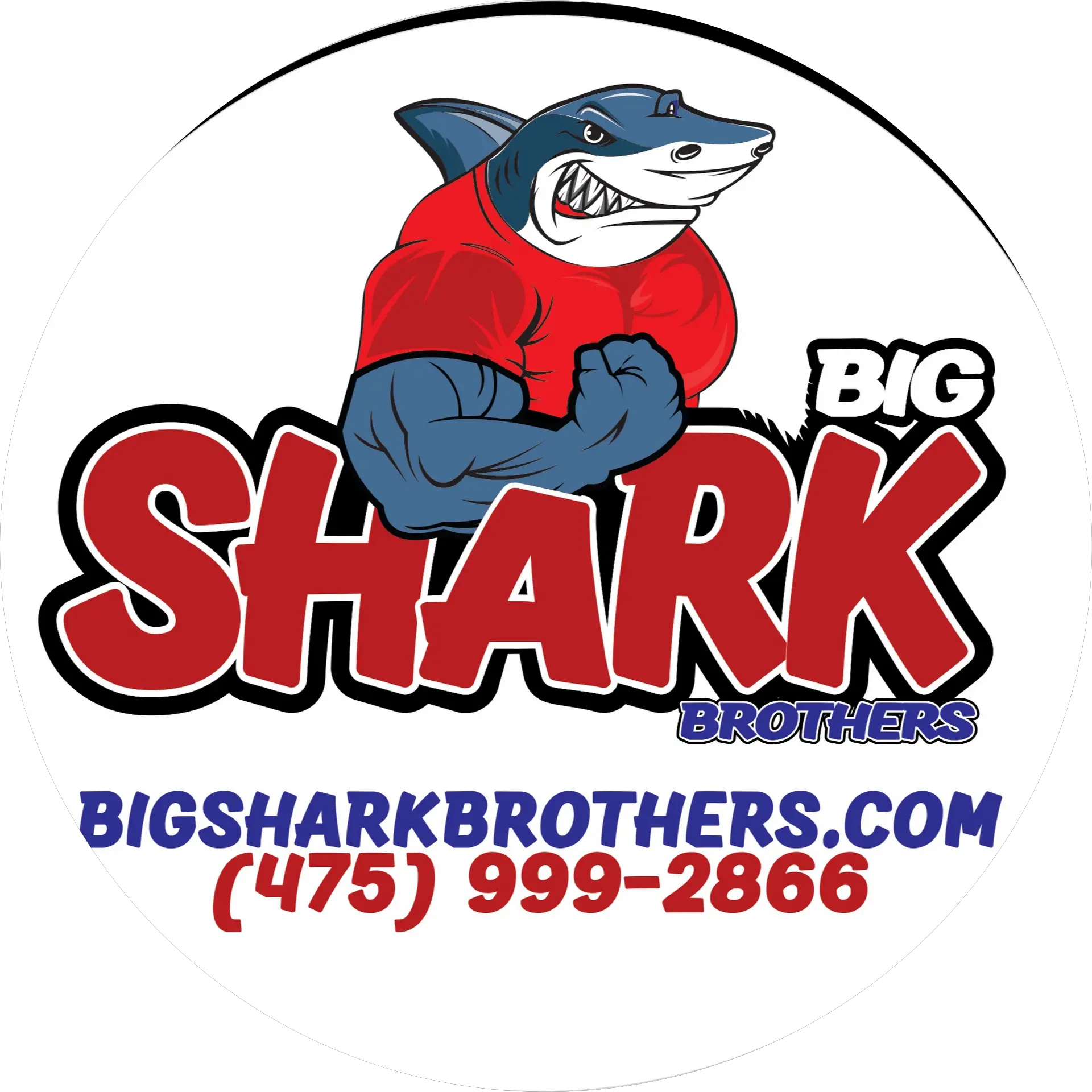 Big Shark Brothers Dumpster Rental