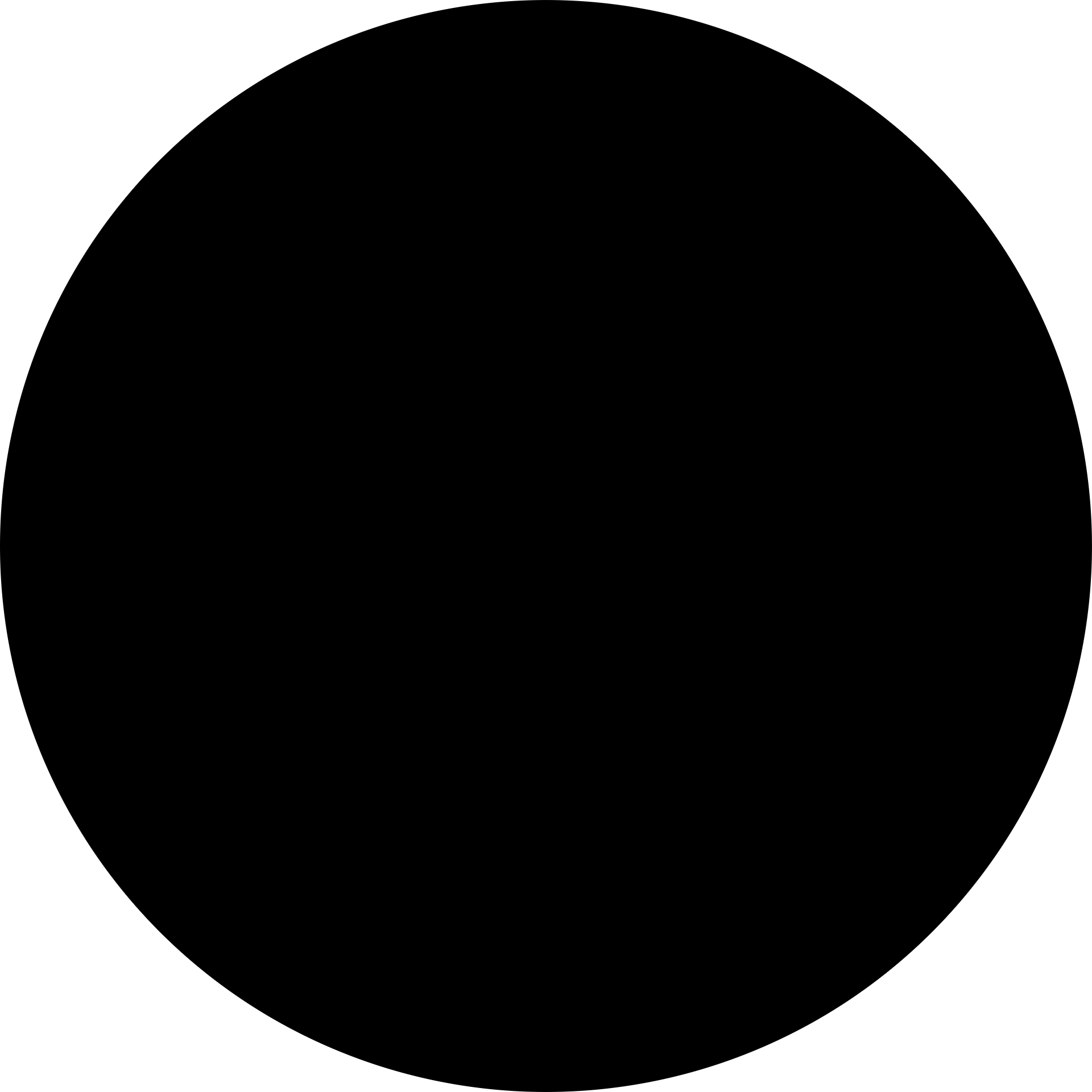 Ariel Zedek