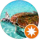 Flash Gordon & Capone