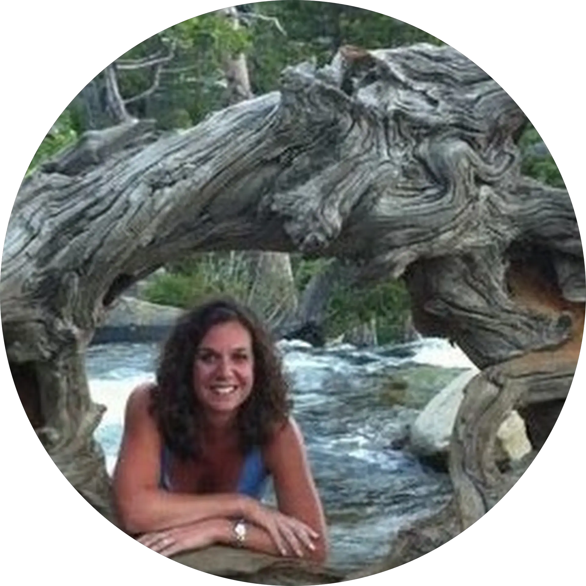 Lisa Holt