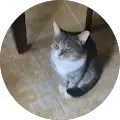NRgaming27