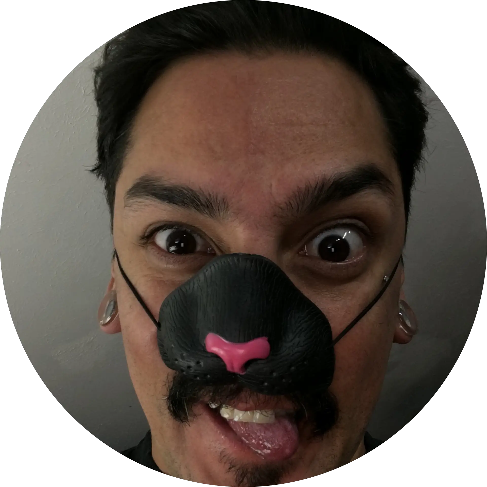DonHugo78
