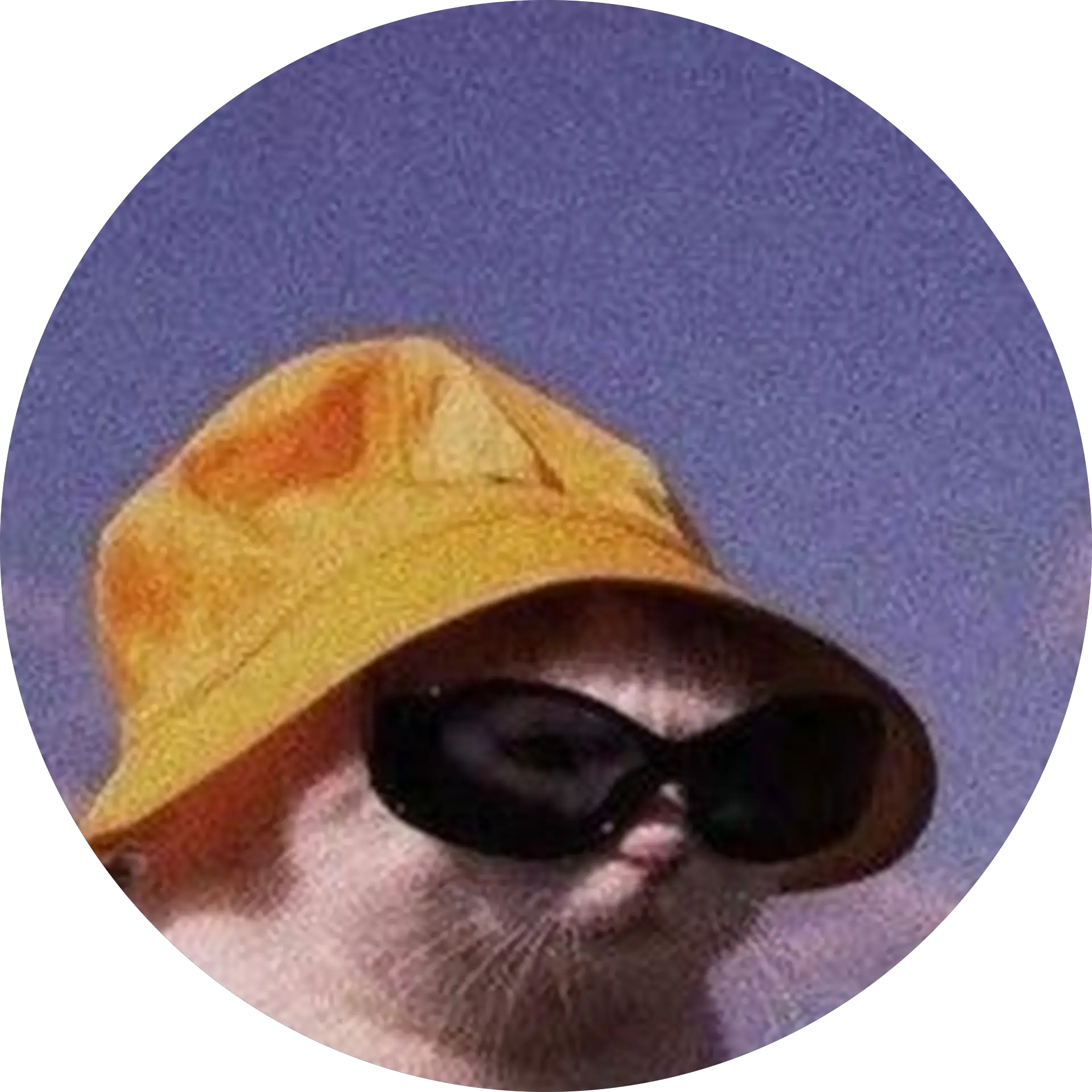 anatnxm