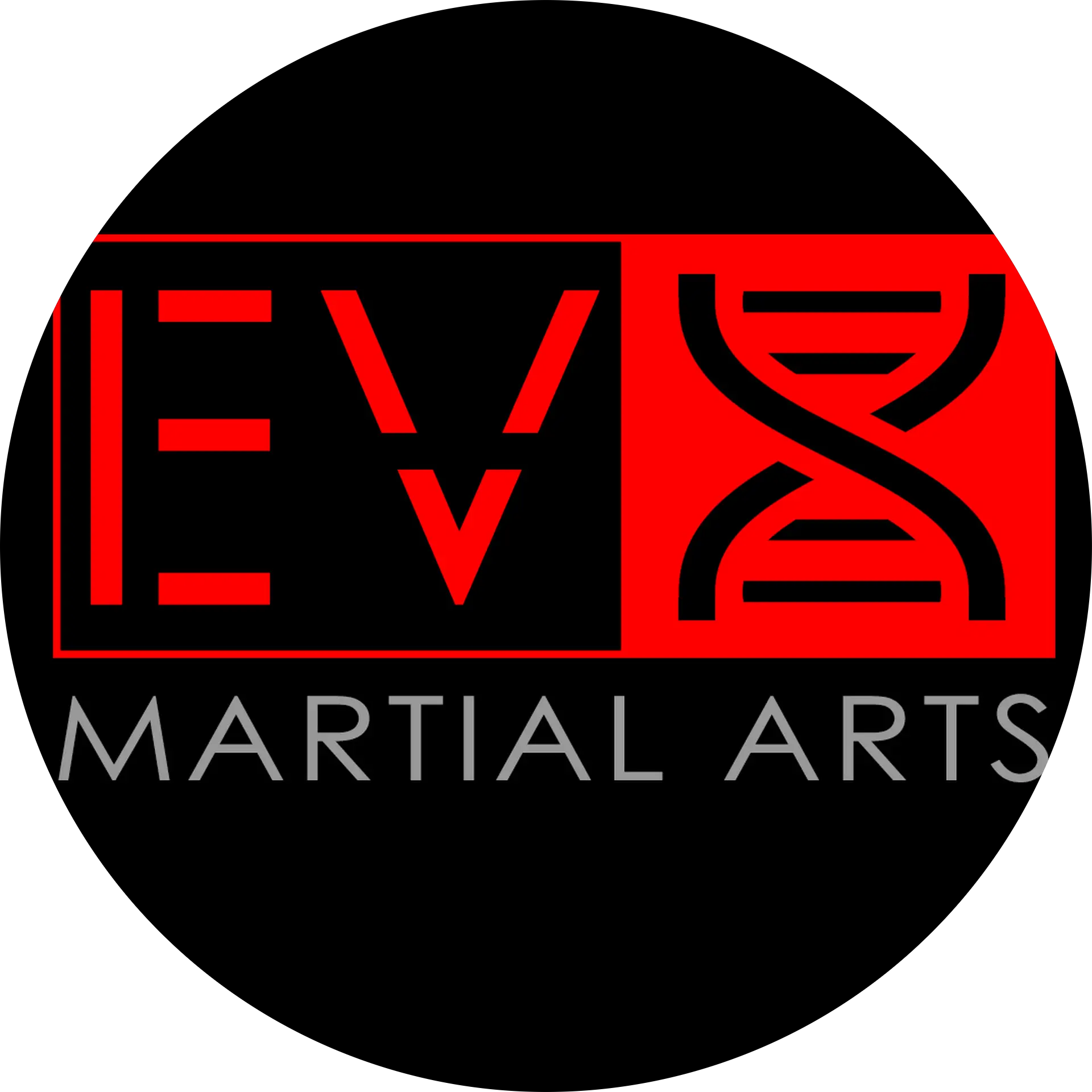 Evolution X Martial Arts