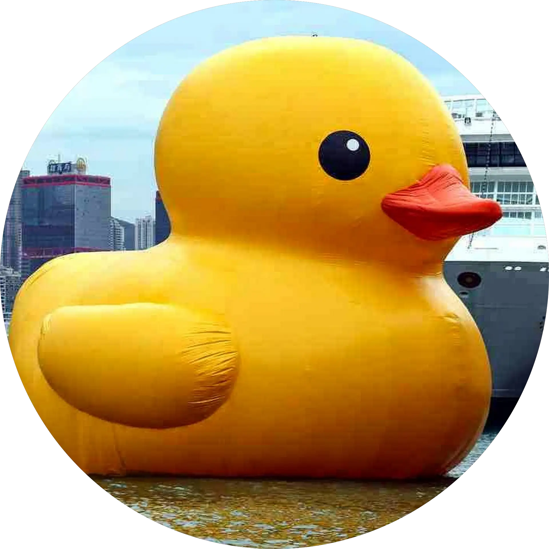 Spladle dude