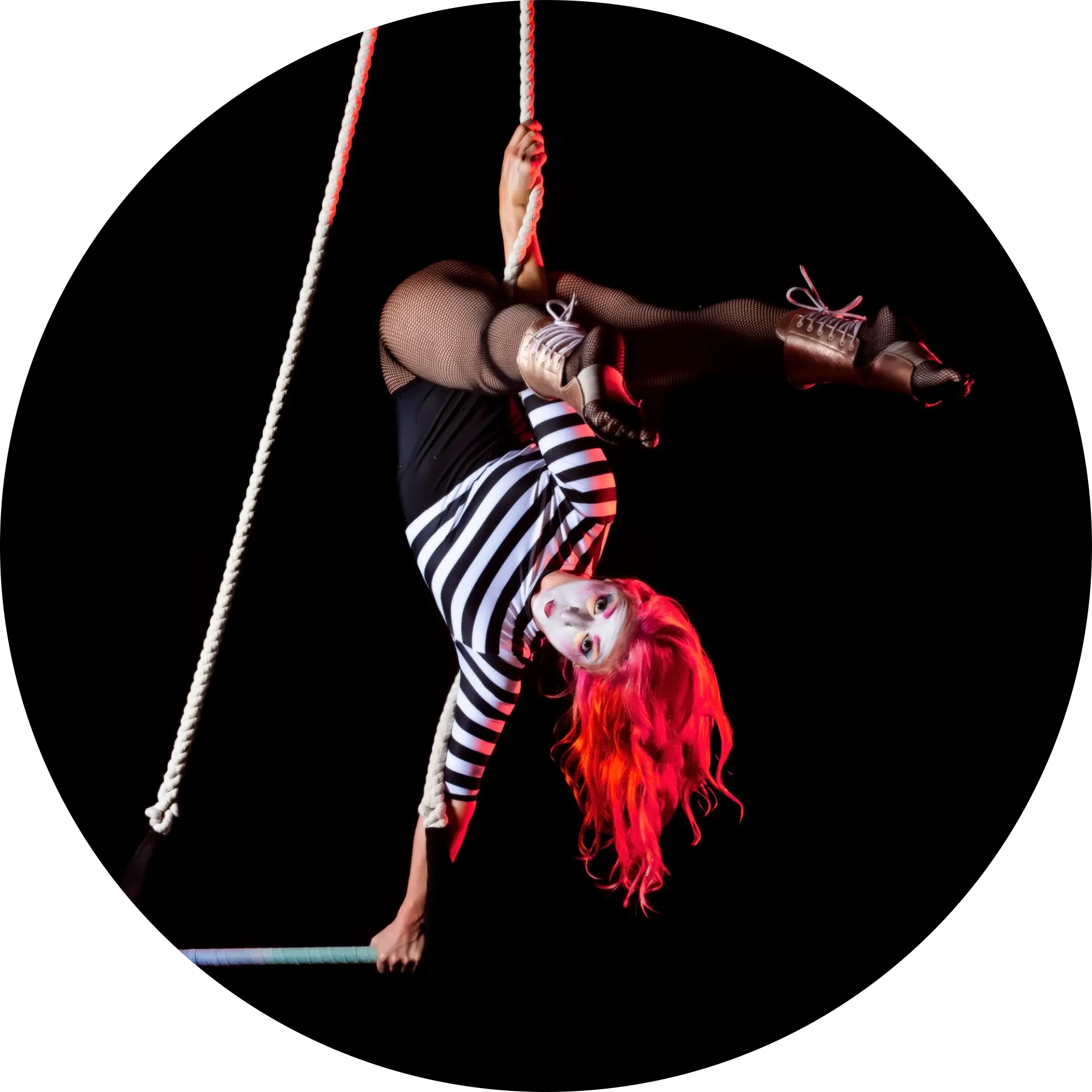 Tasha Freese
