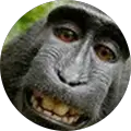 C D