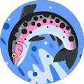 Fly Fishing Studios
