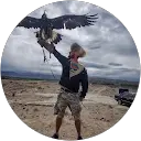 The Average Guy Traveller