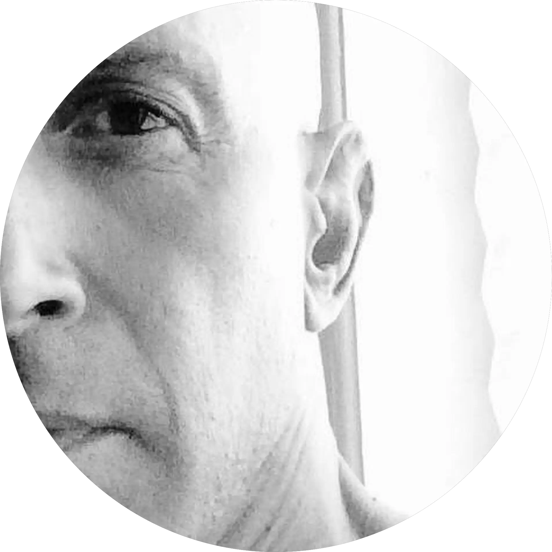 David Belafonte