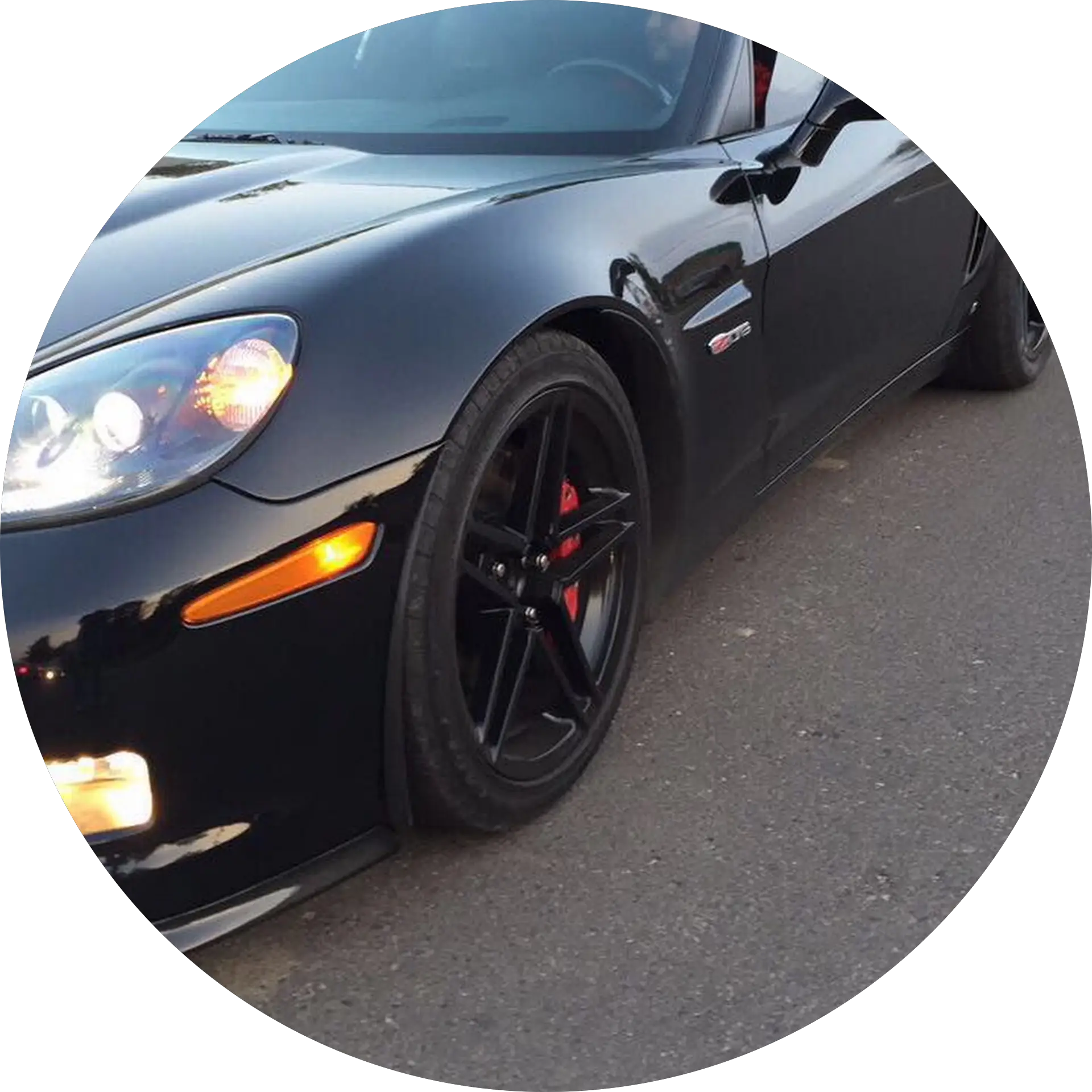 LooneyTuners 303