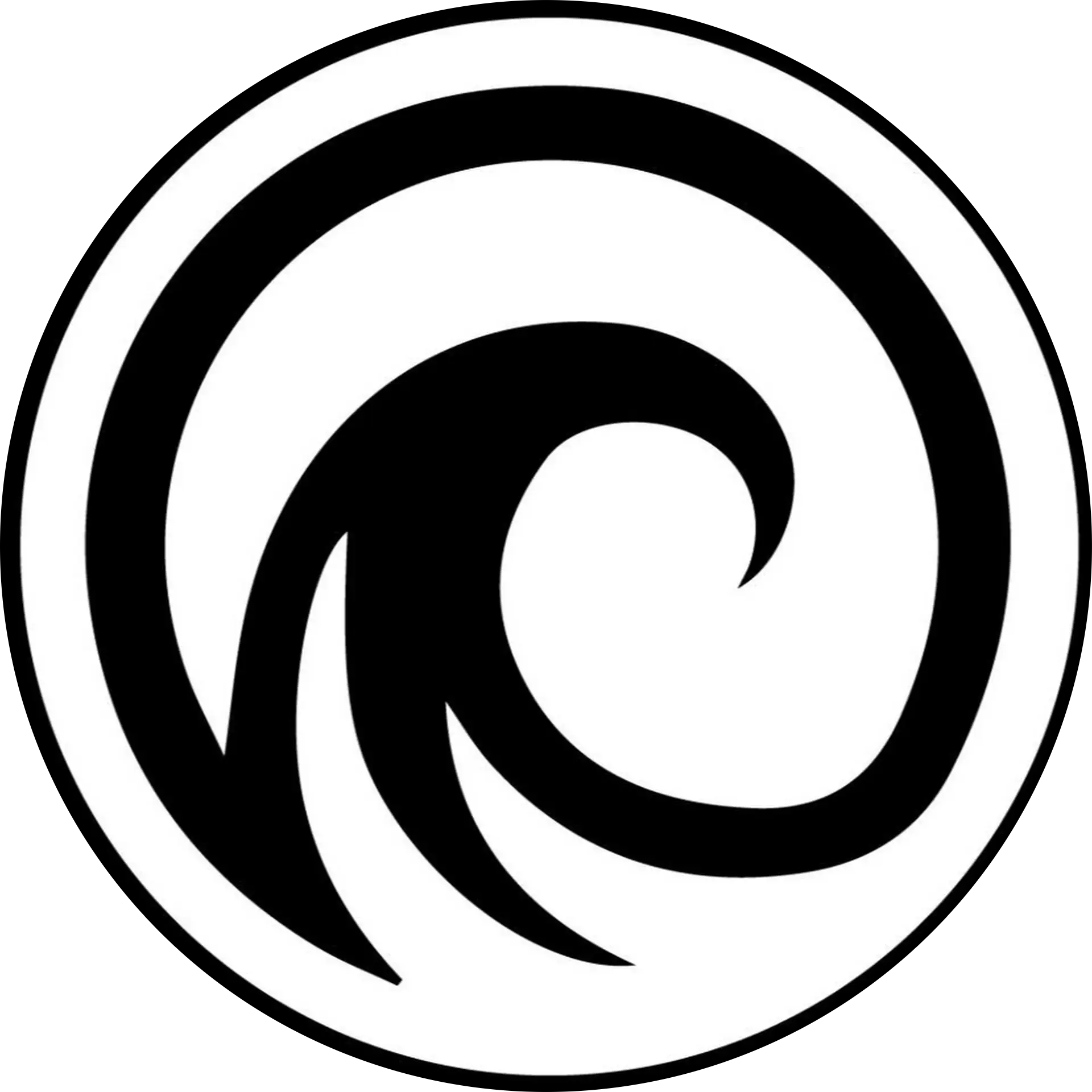 Jeff Sass (Water Style Jiu Jitsu)