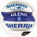 glenn wylie