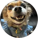 KinG b0i is not fiyyy