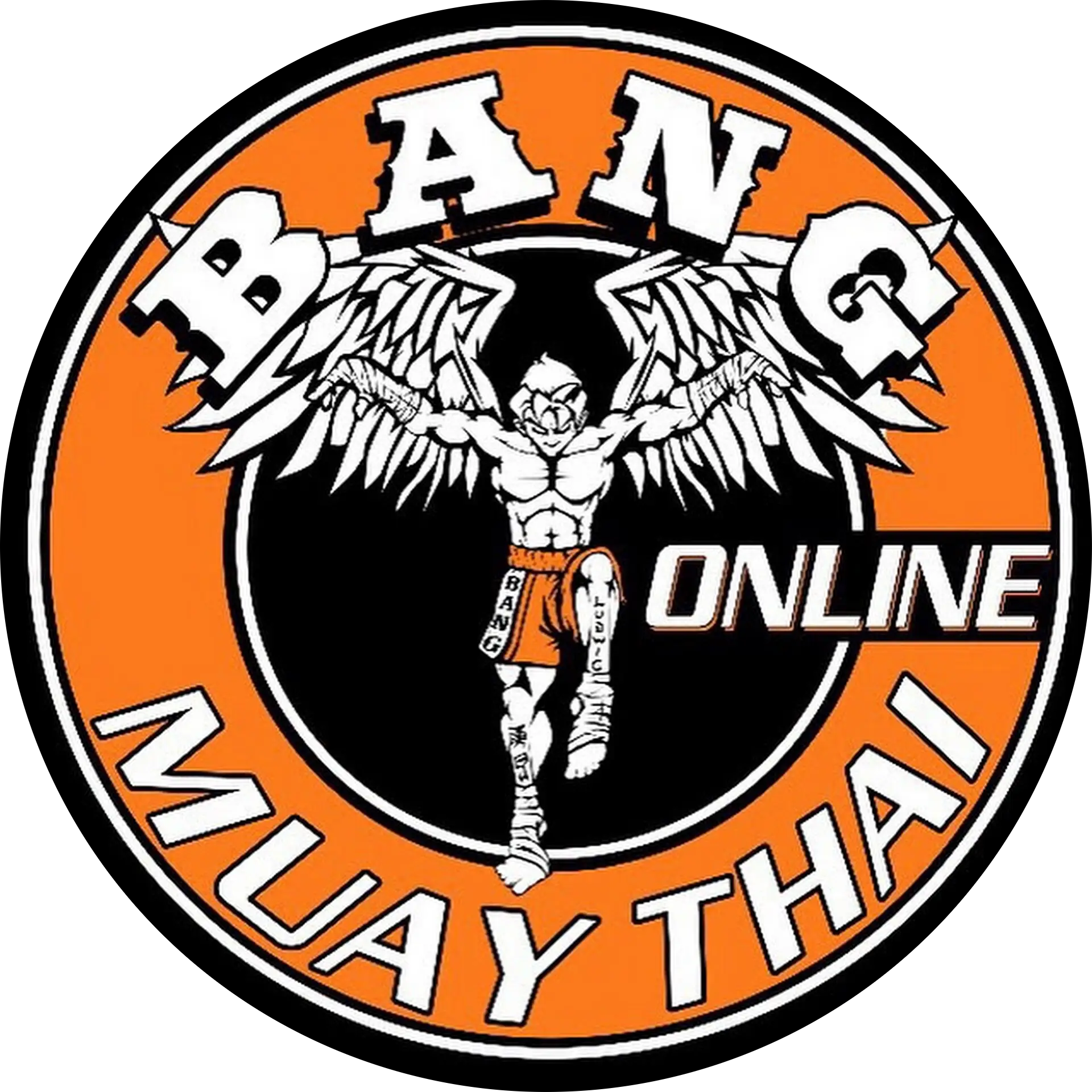 Duane Ludwig