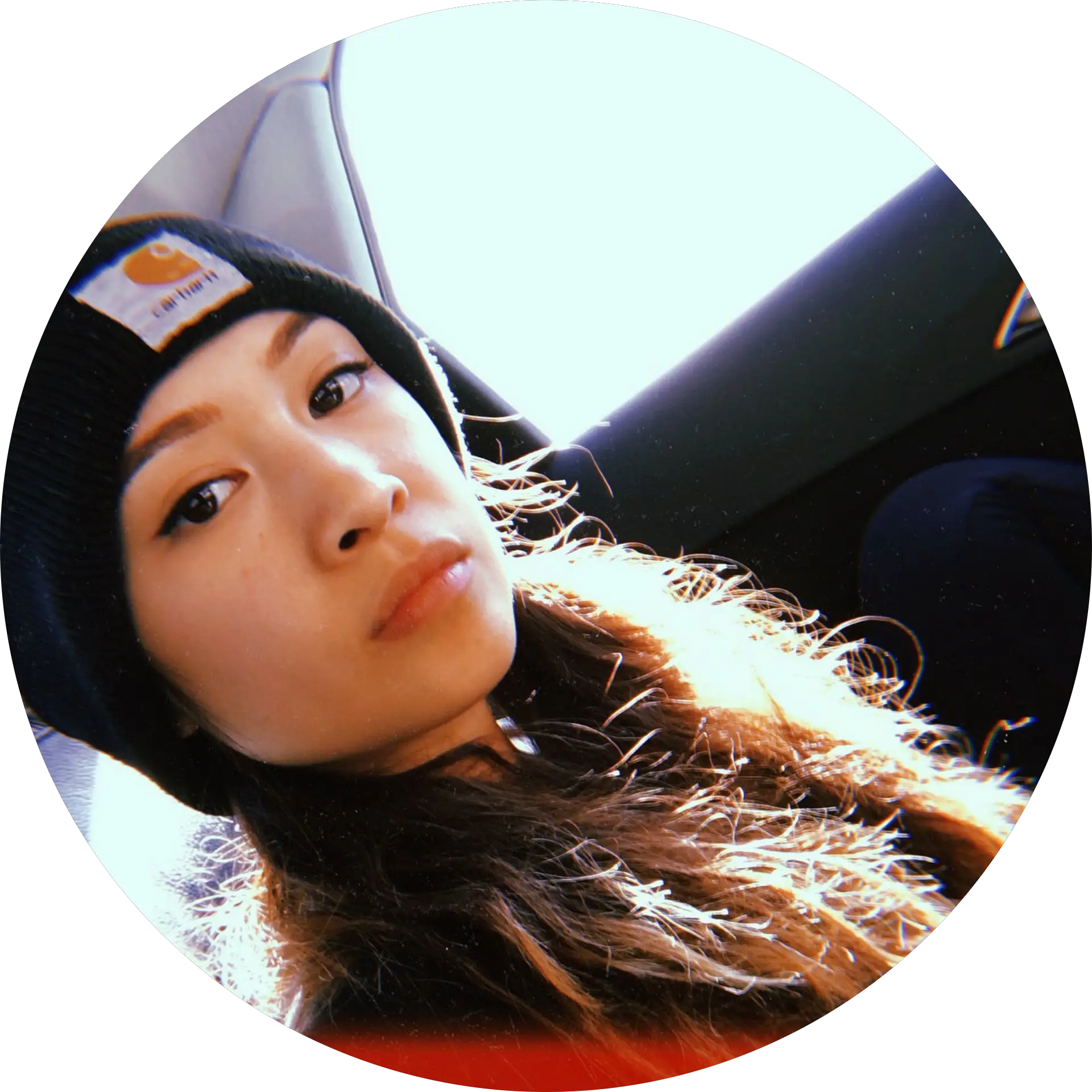 Basic Trish the Basic Bish