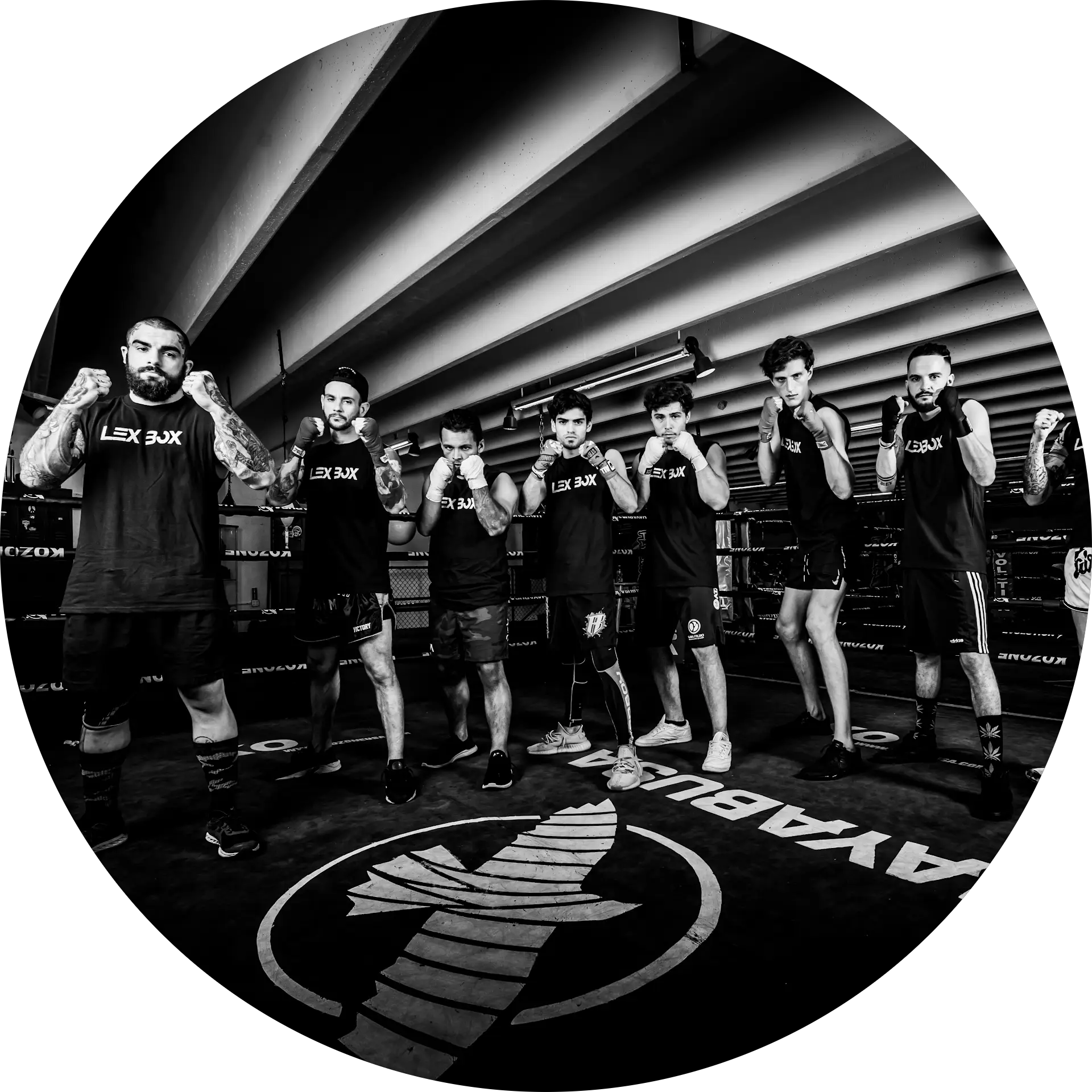 Lex Boxing