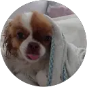 Ludy Theresine