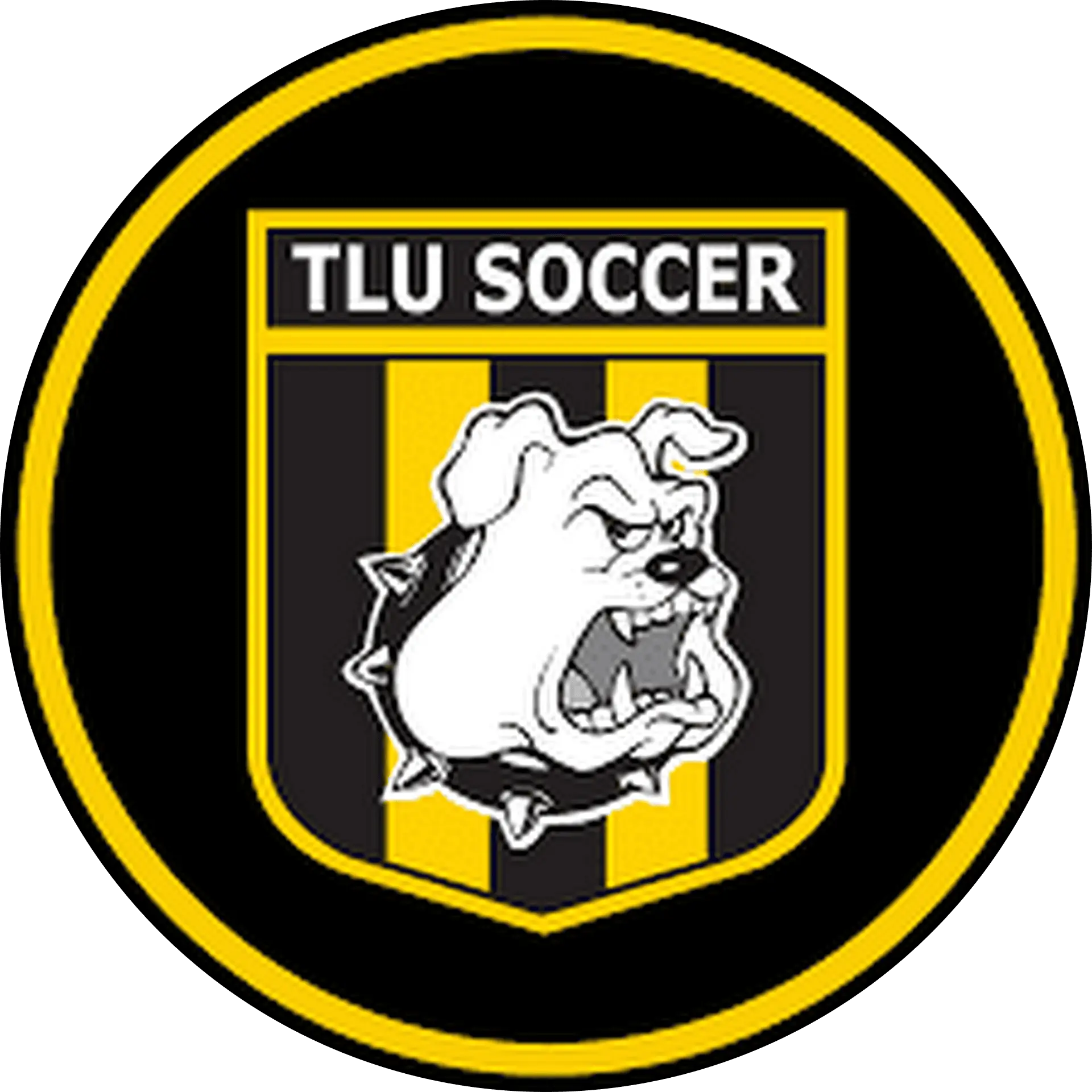 Marcus Pais Lions FC Academy Director