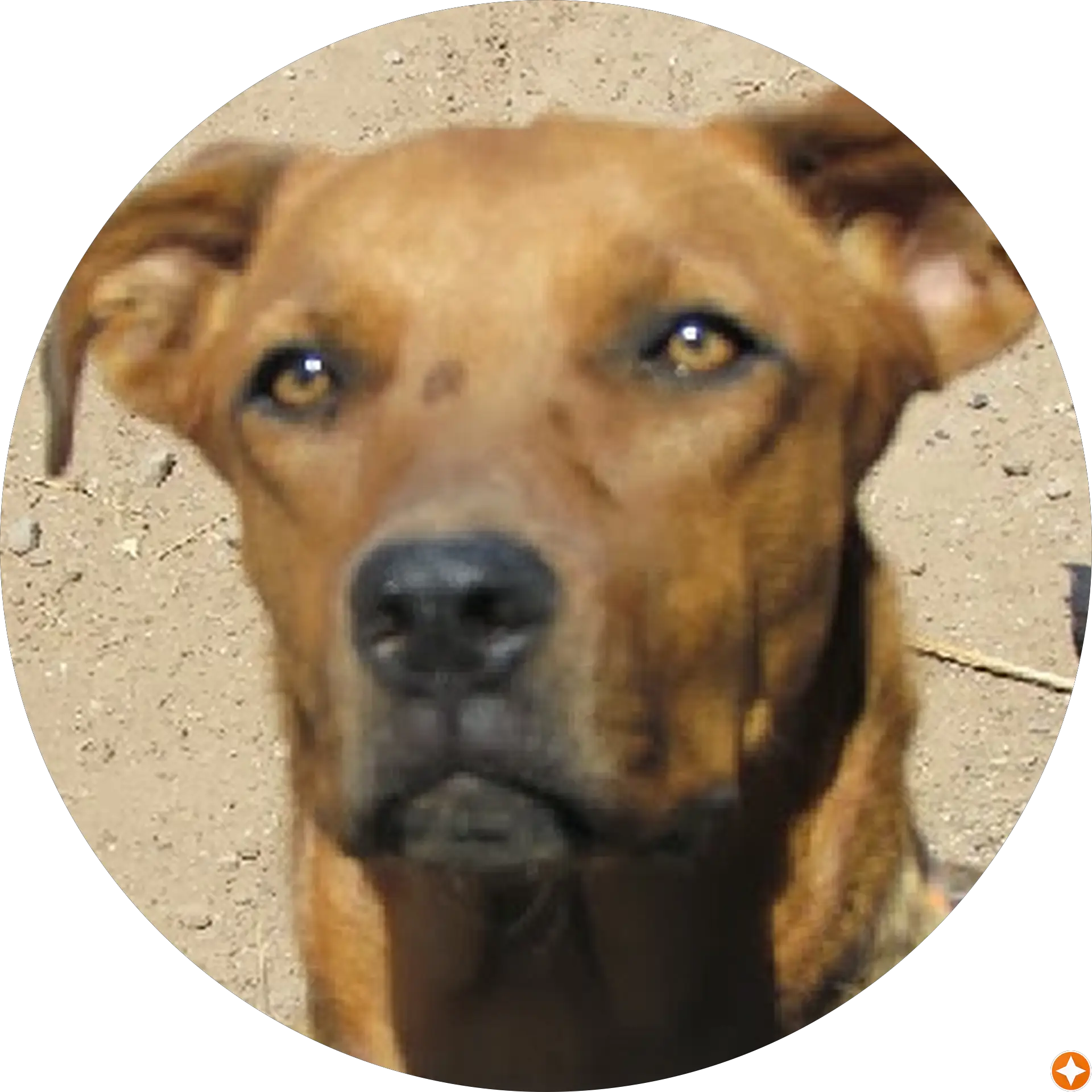 A Duncan
