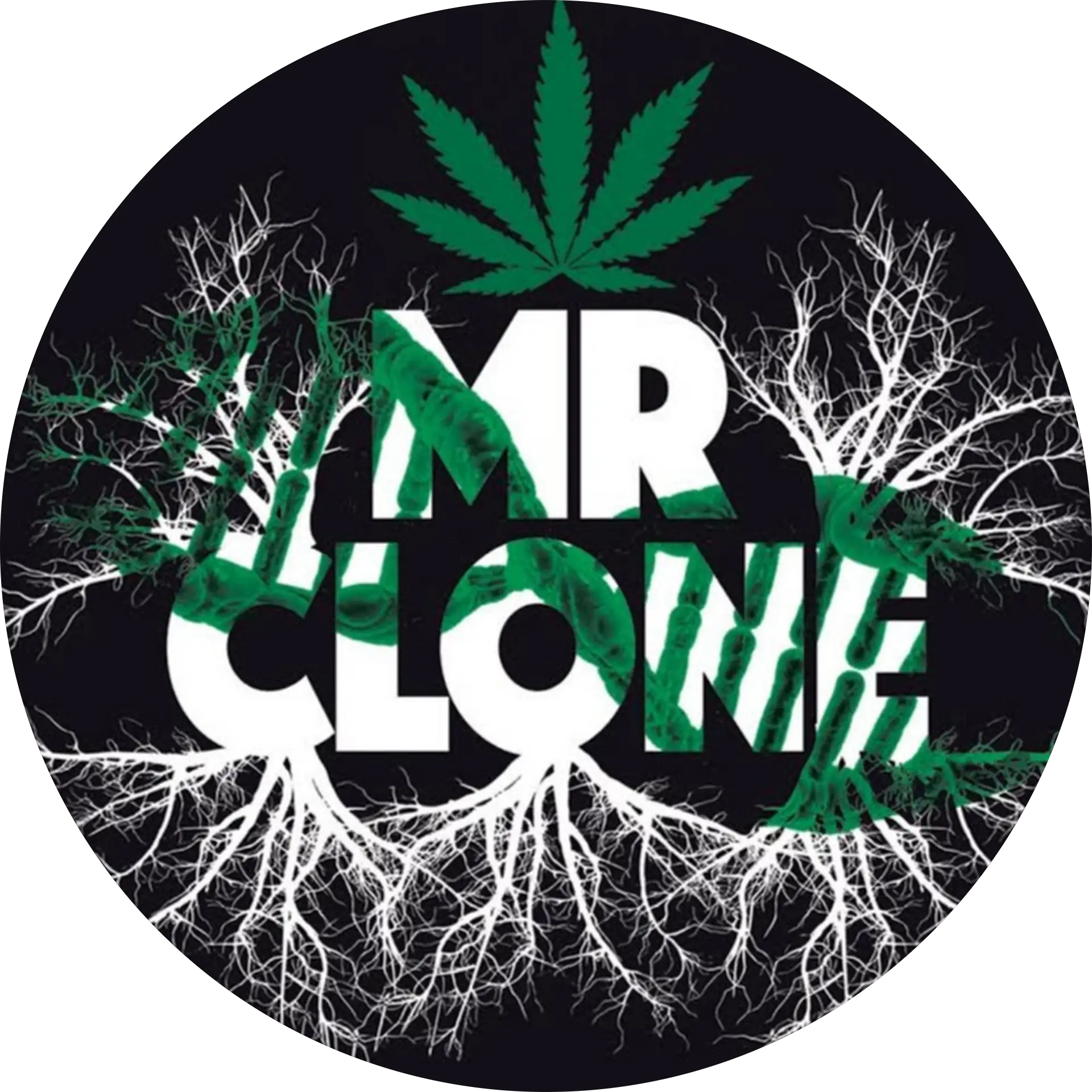 Mr Clone