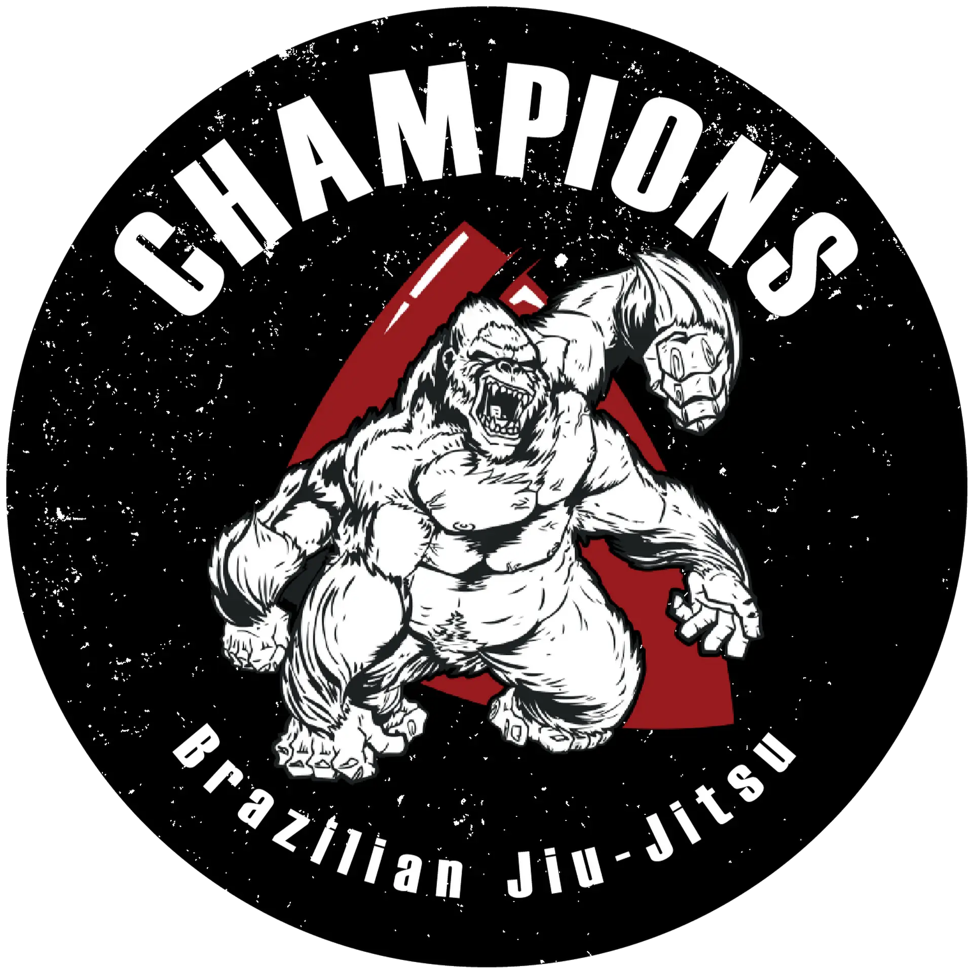 Gracie Barra Champions