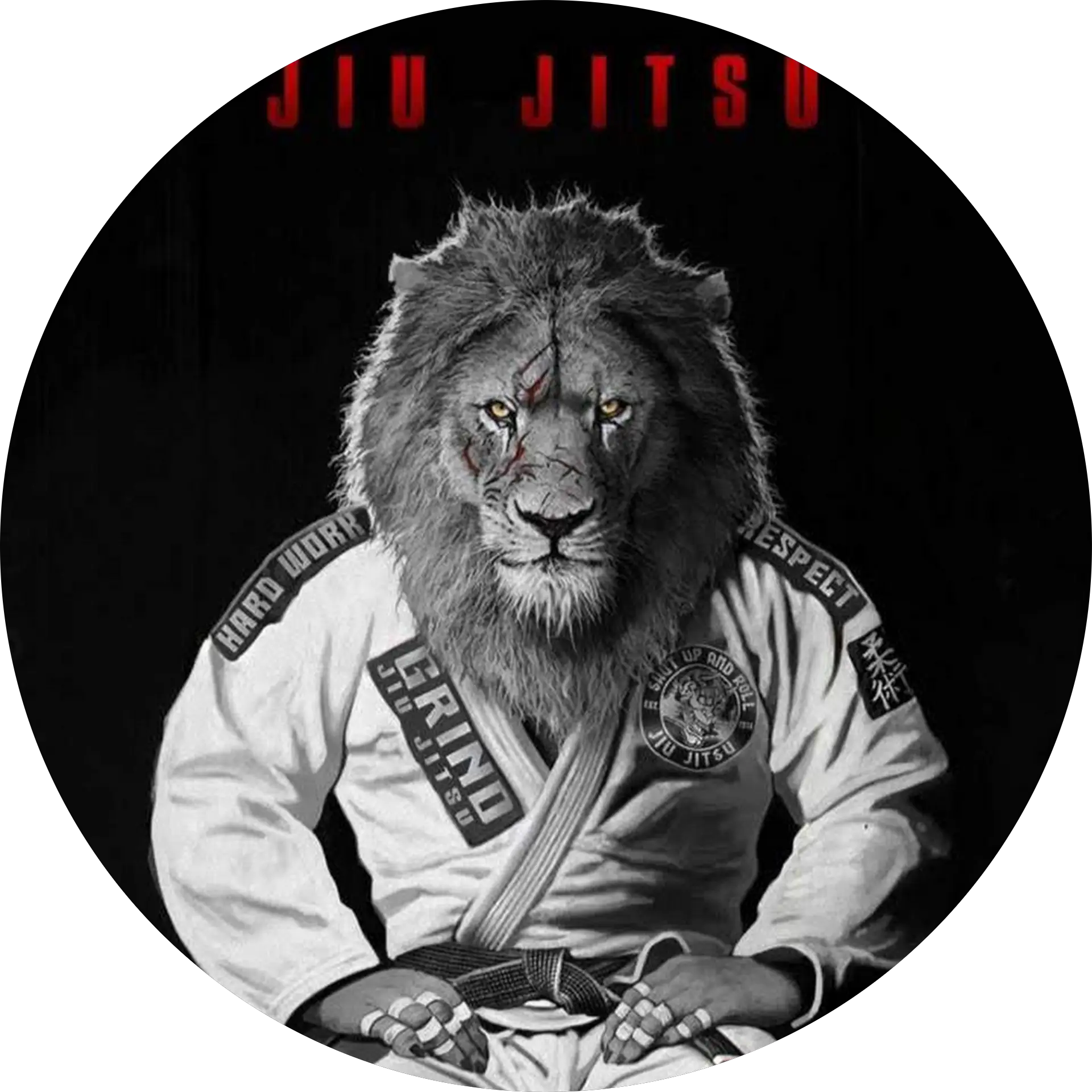 Yogi Jitsu