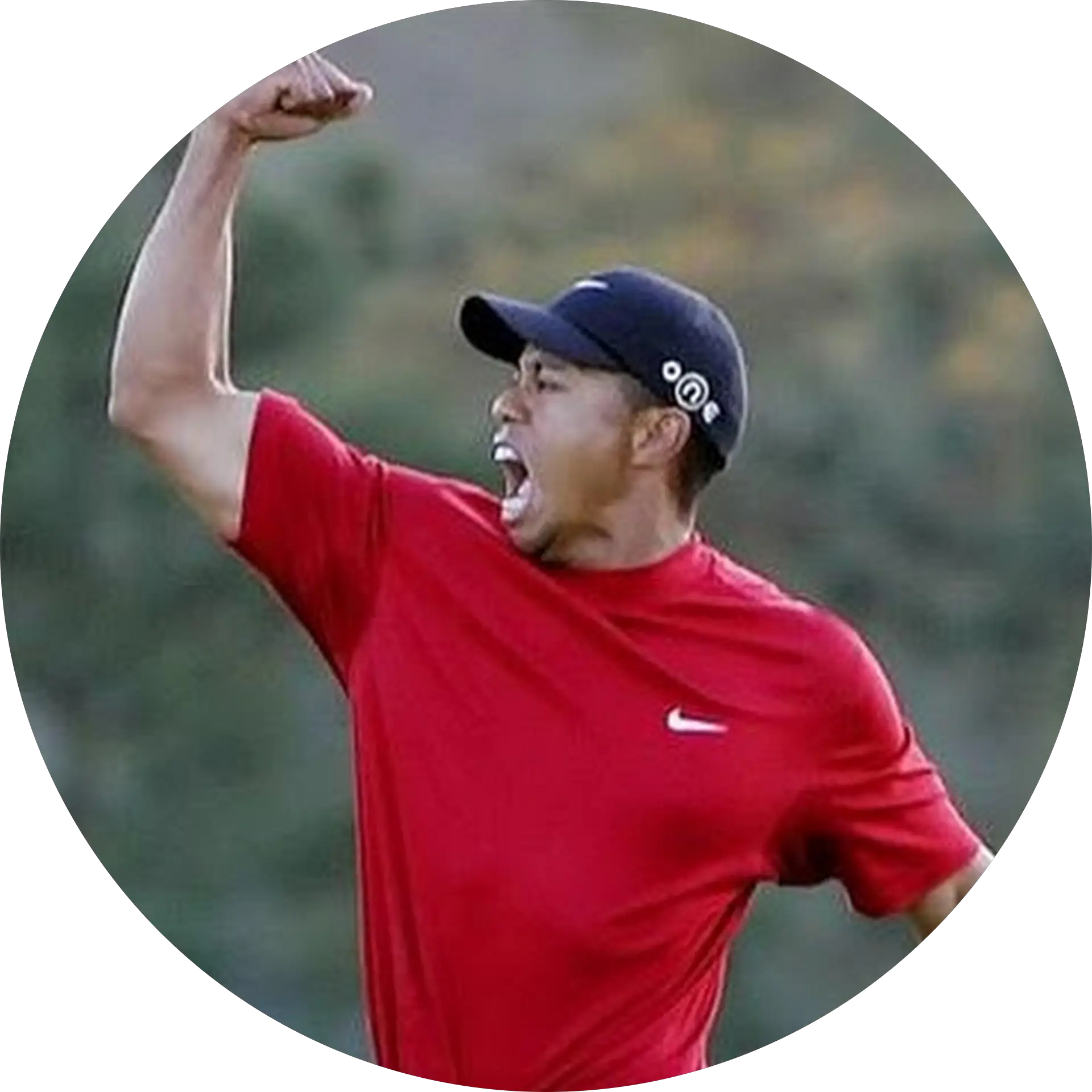 steve tan