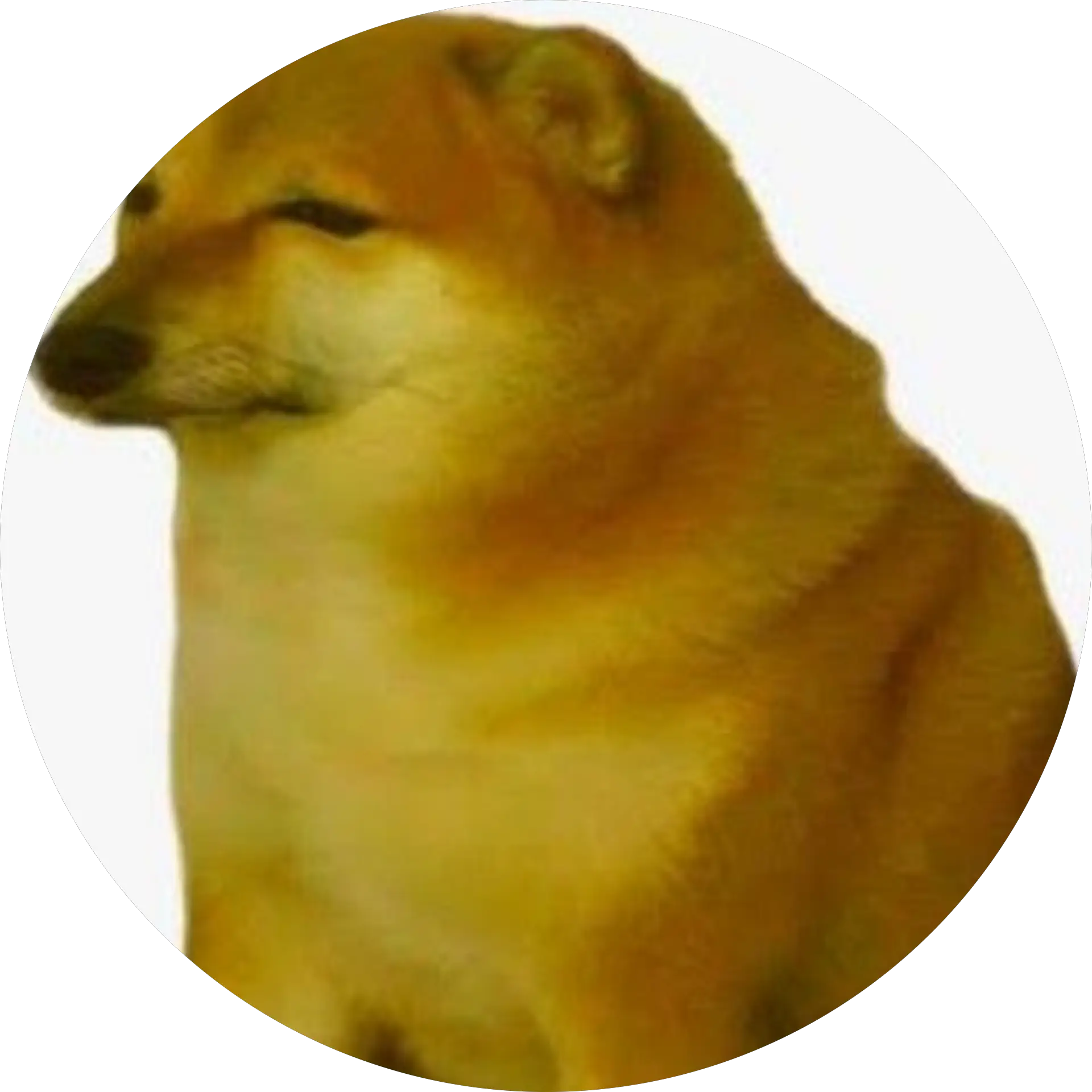 crying dog