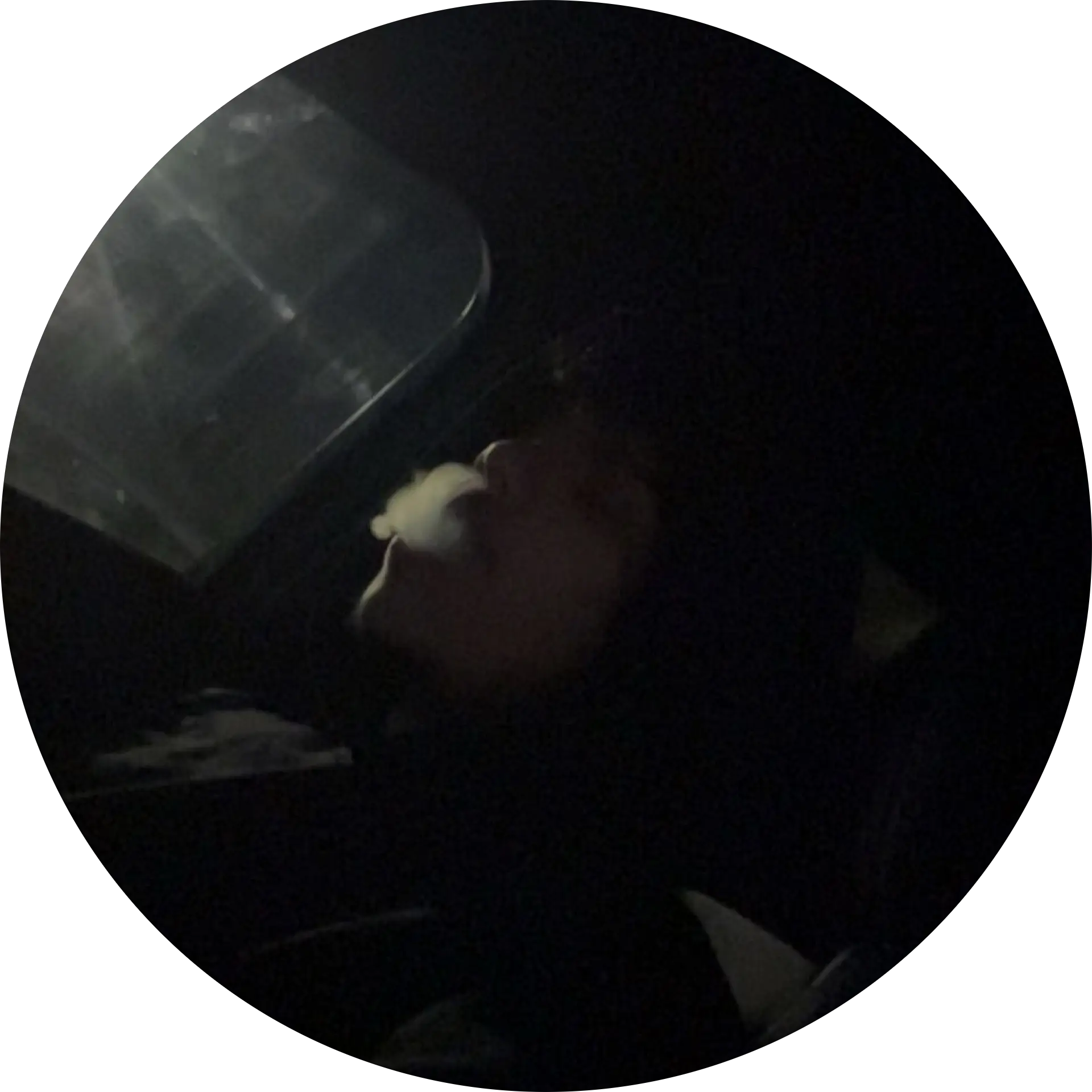 reflex_joshyYT
