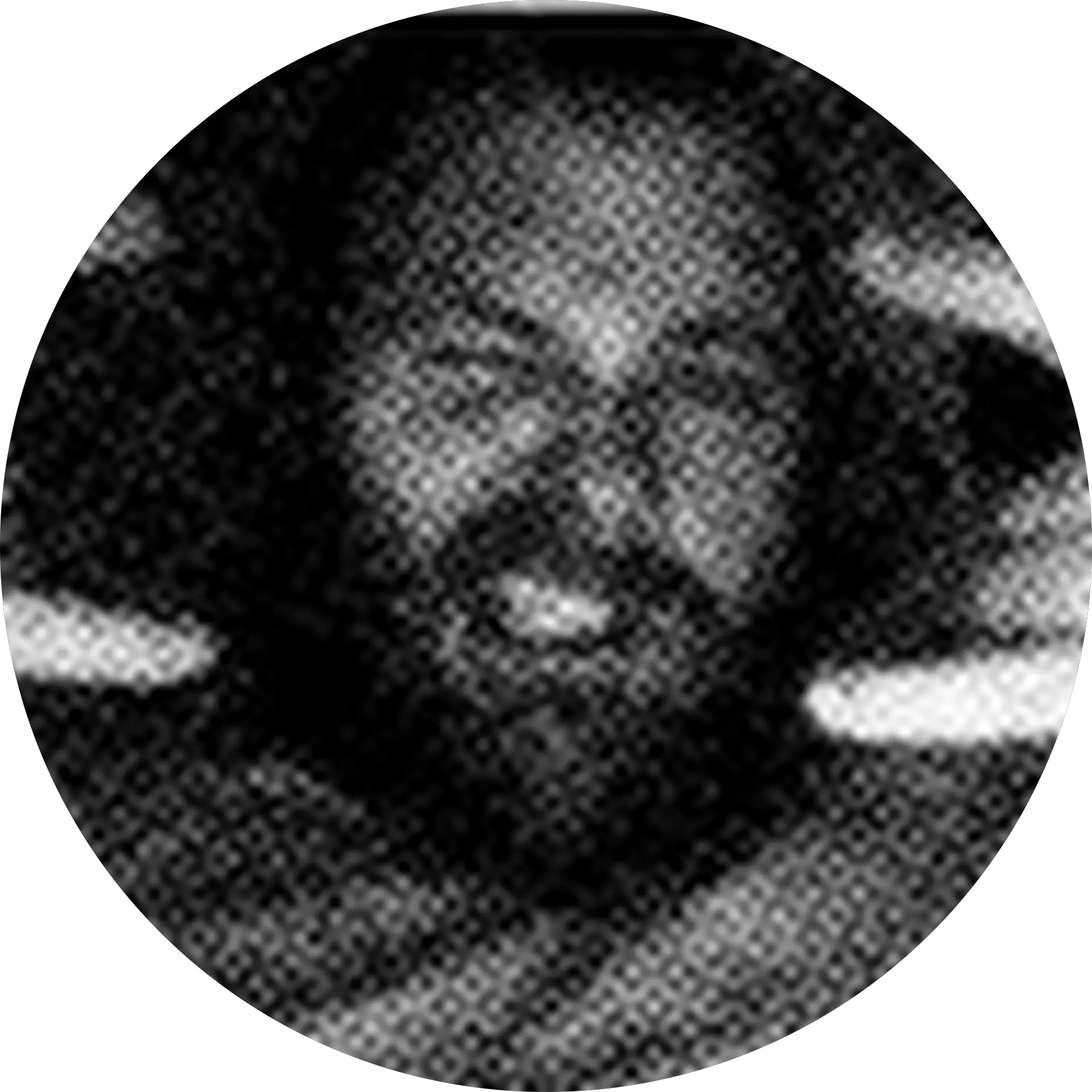 Dave Lowenstein