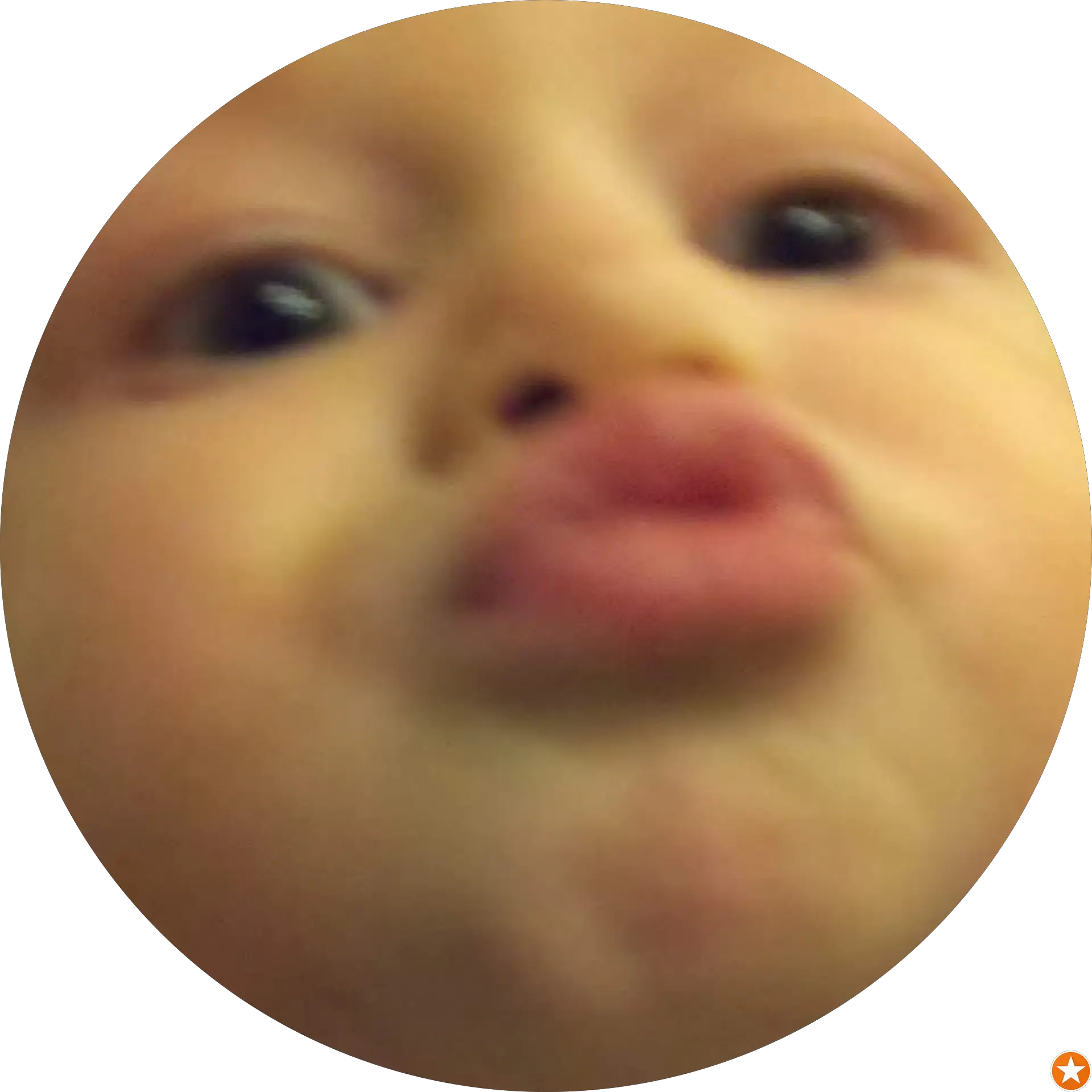 Monika A.