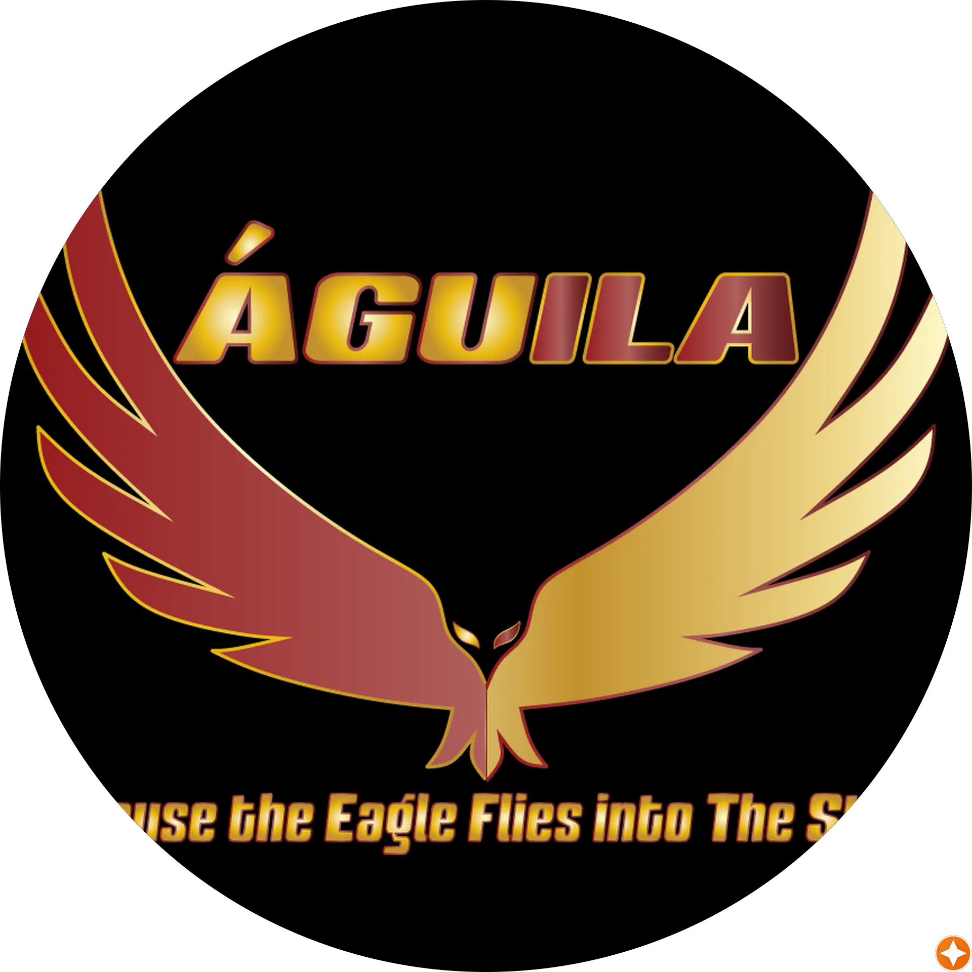 Aguila Tech & Marketing Services