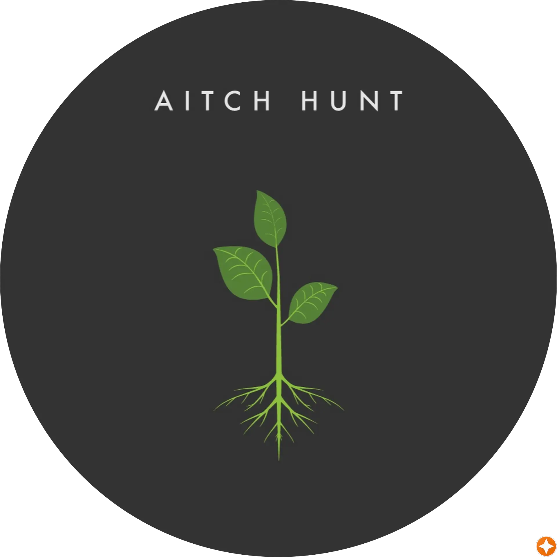 Aitch Hunt