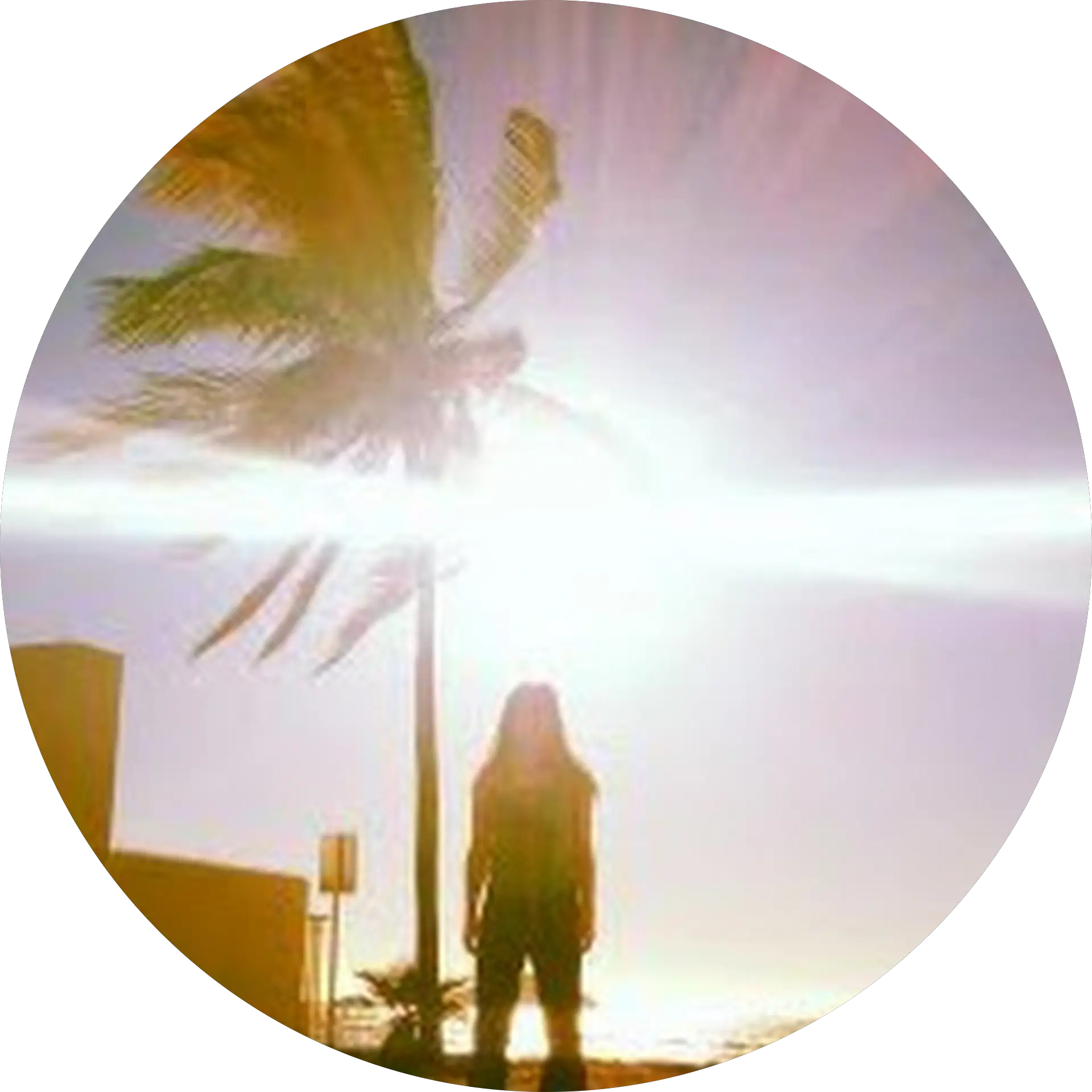 sally arena