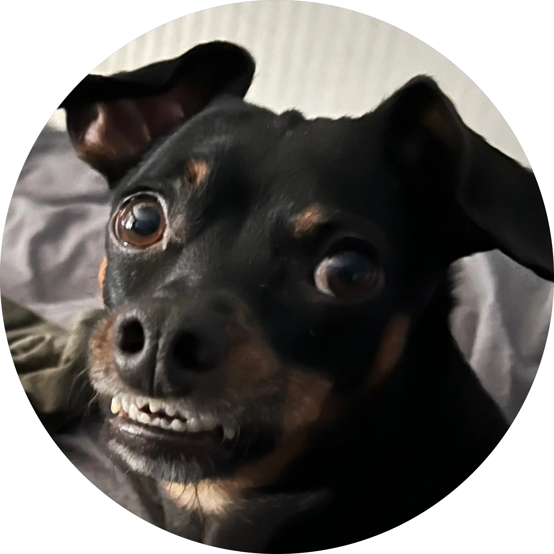 Manny C