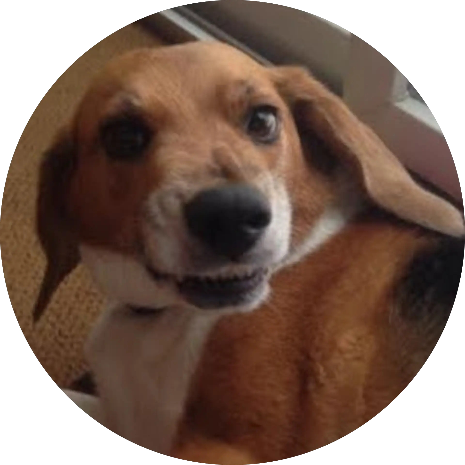 Mike Shaw